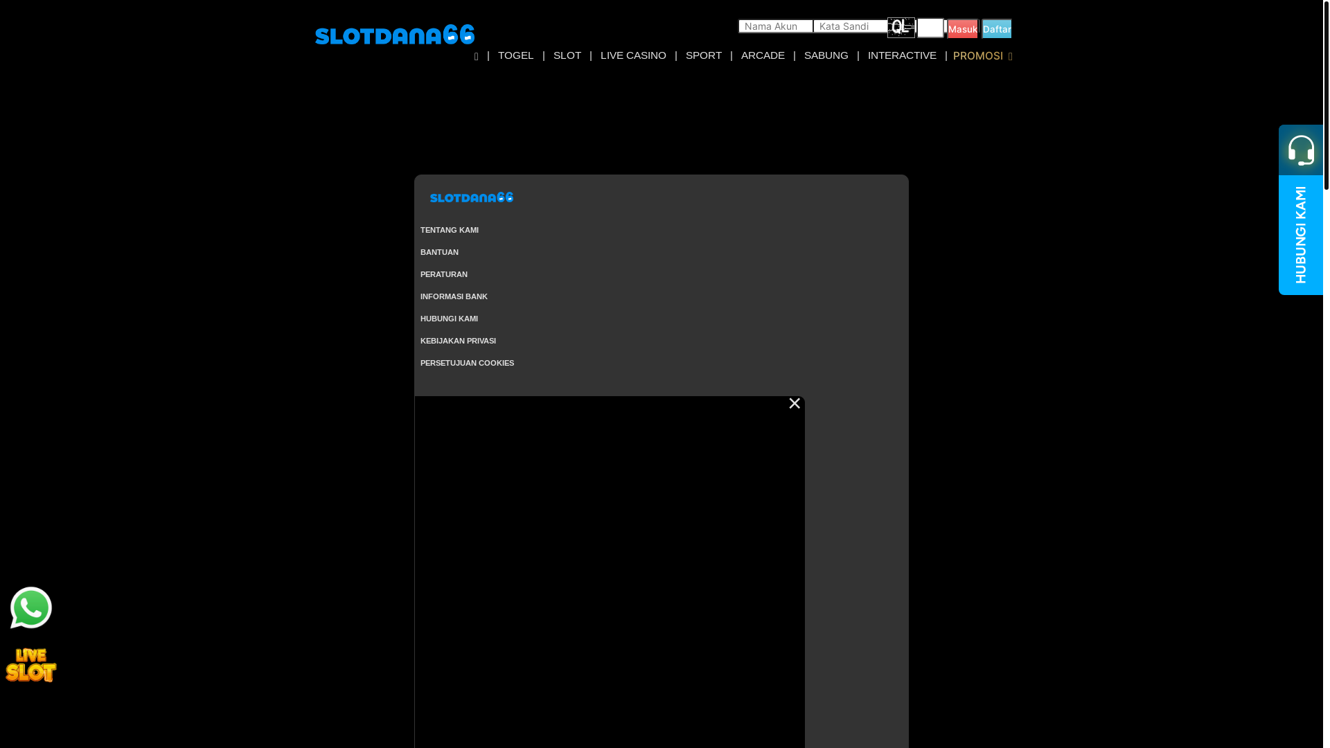 website screenshot of https://slotdana66mobile.com/
