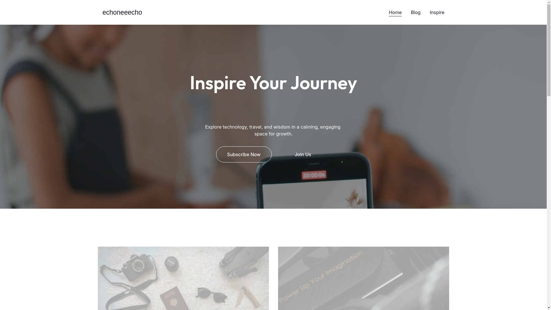 website screenshot of https://echoneeecho.com/
