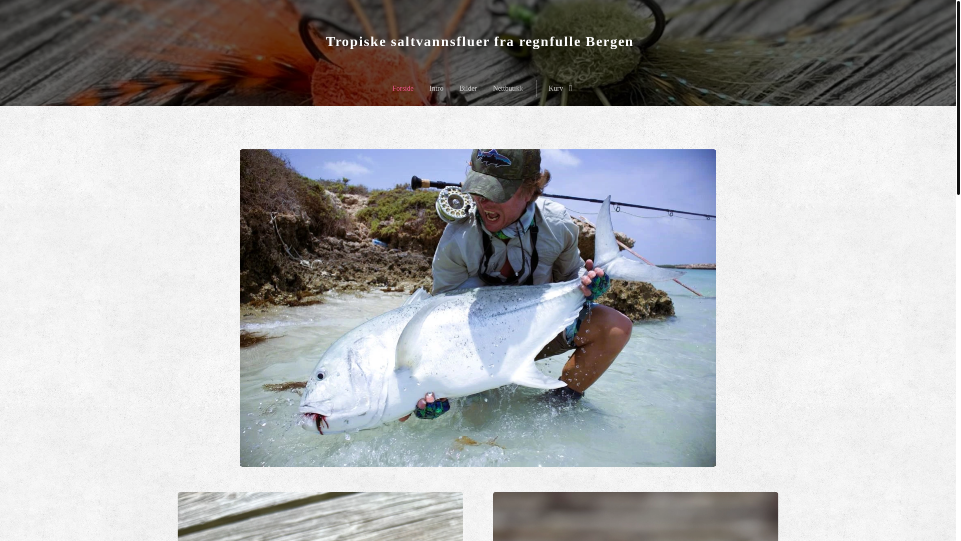 website screenshot of https://blasterpusherflies.no/