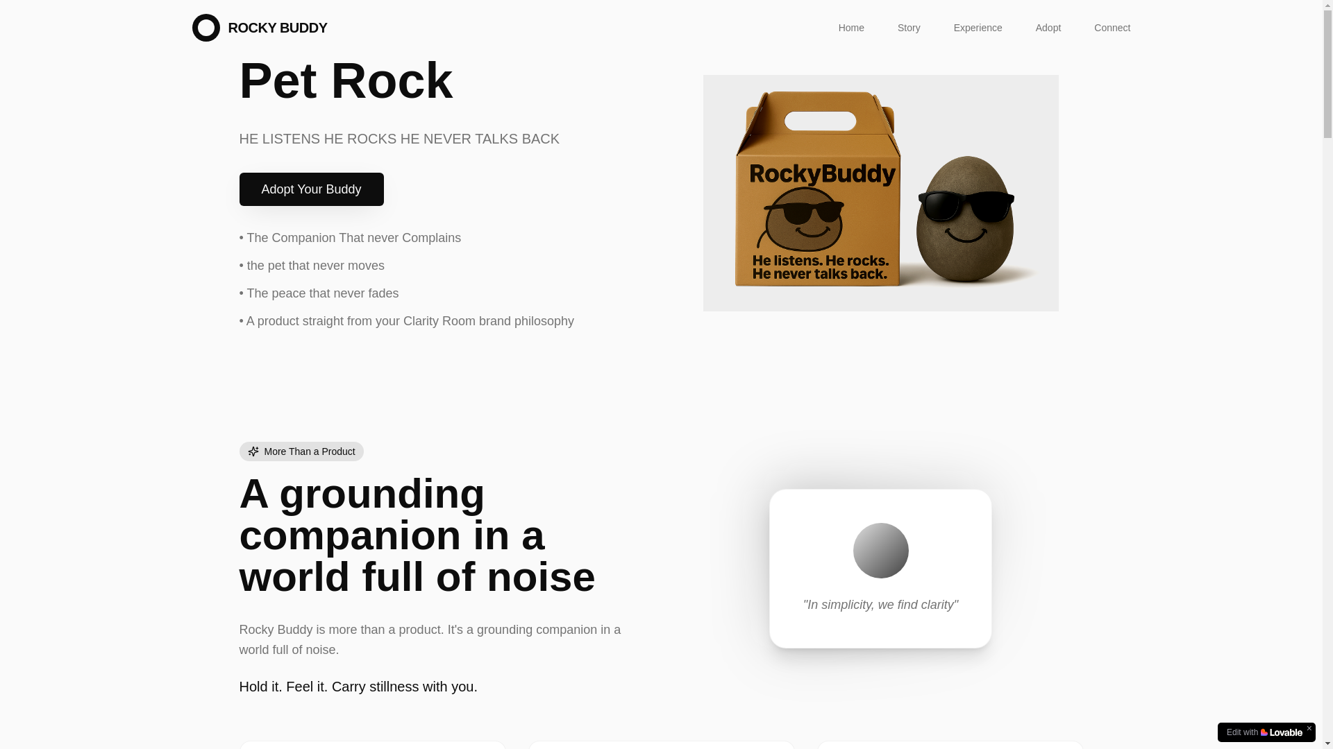 website screenshot of https://rockymybuddy.com/