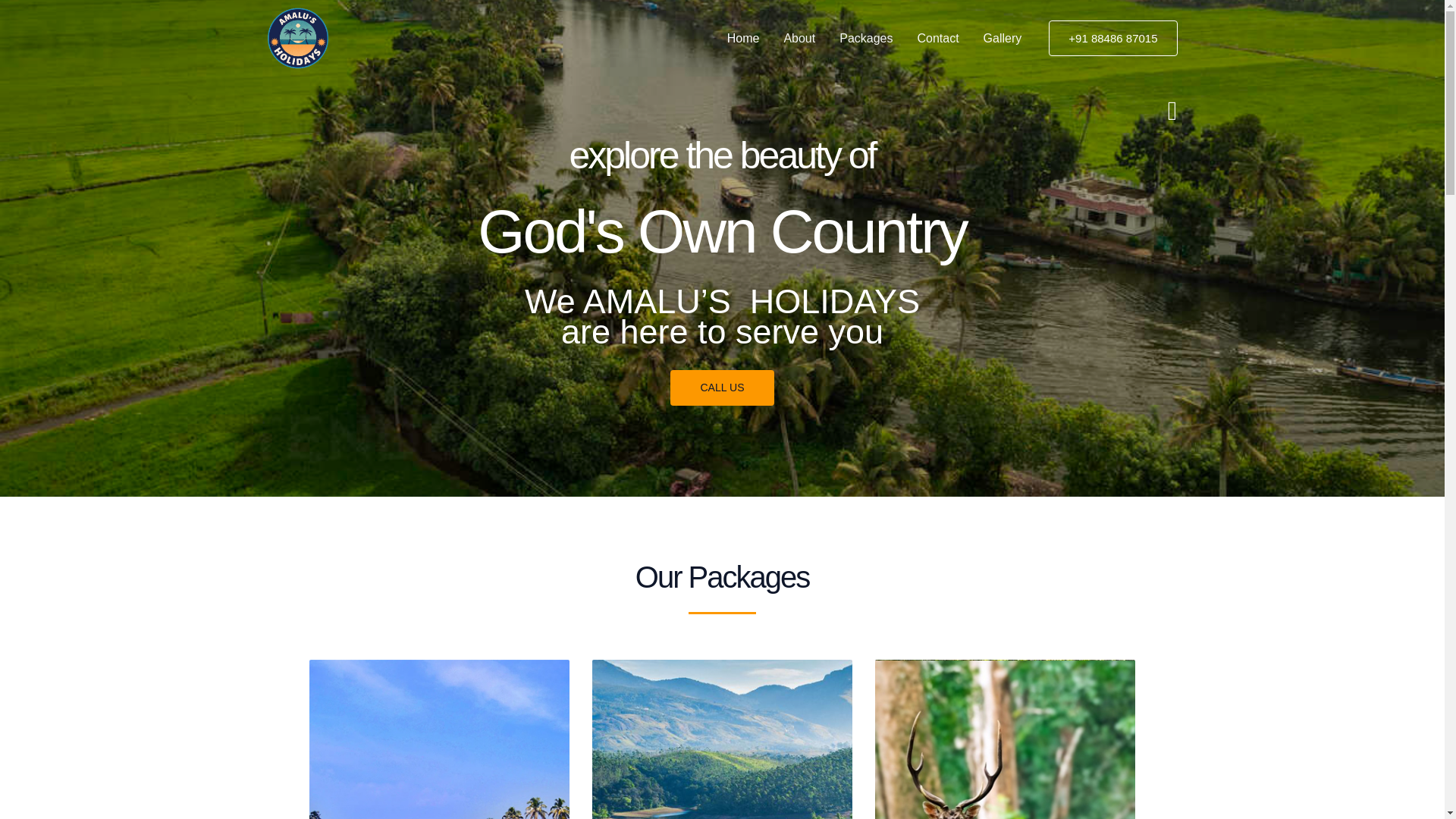 website screenshot of https://amalusholidays.com/