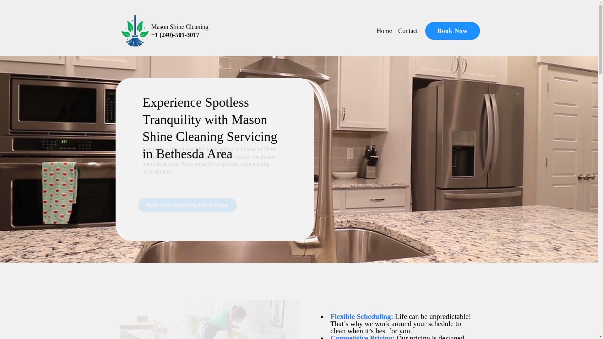 website screenshot of https://masonshinecleaning.net/