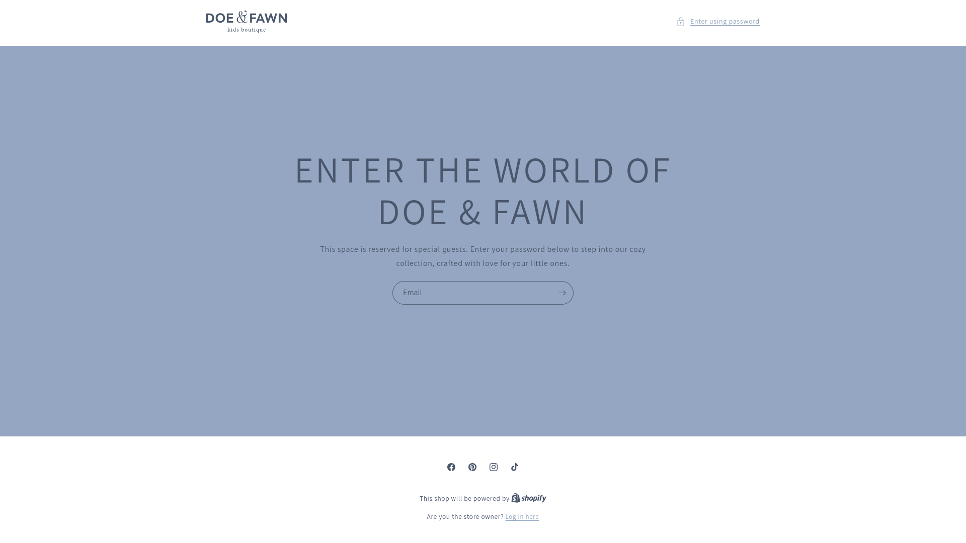 website screenshot of https://doeandfawnboutique.com/