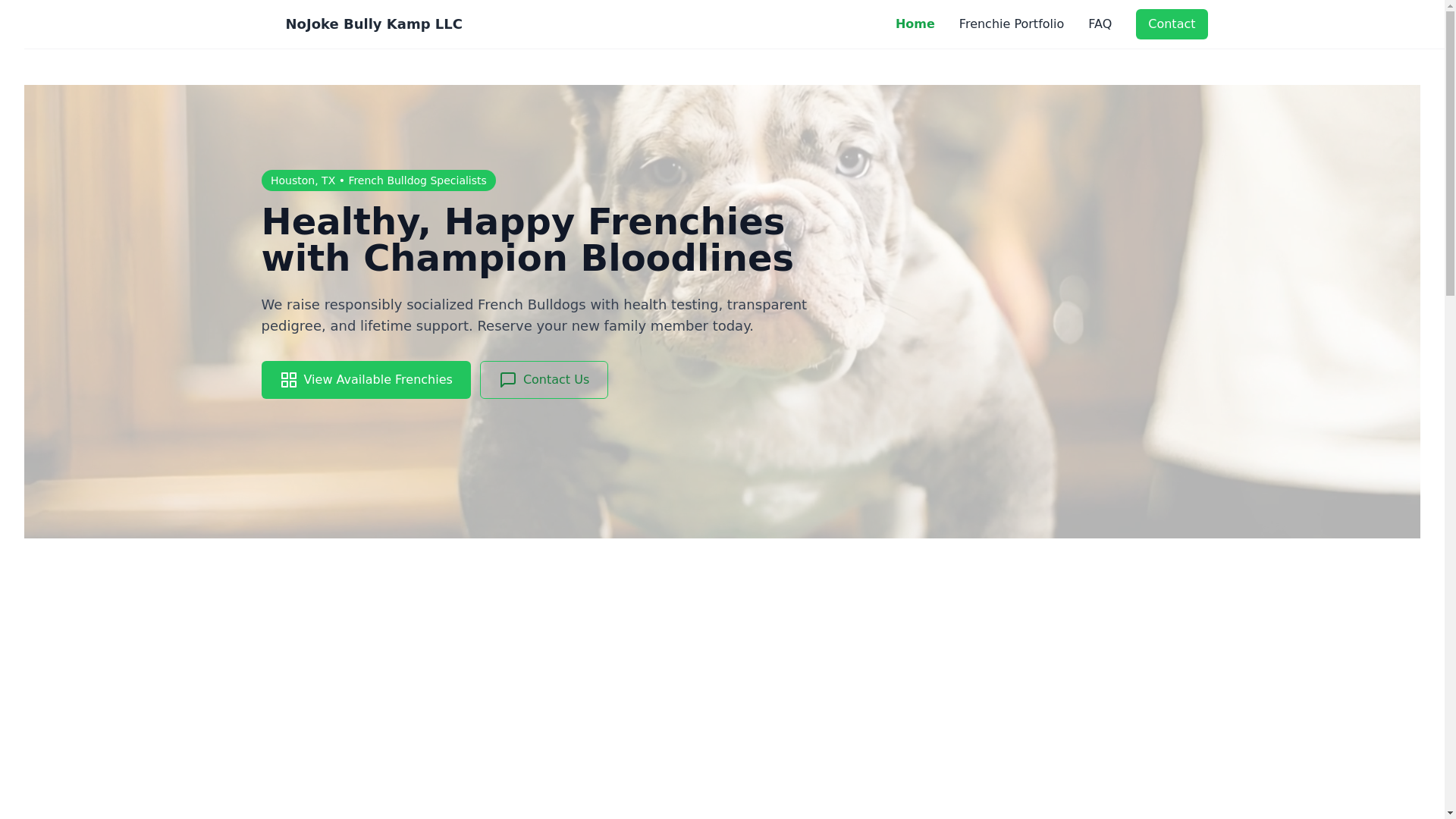 website screenshot of https://nojokebullykamp.pages.dev/