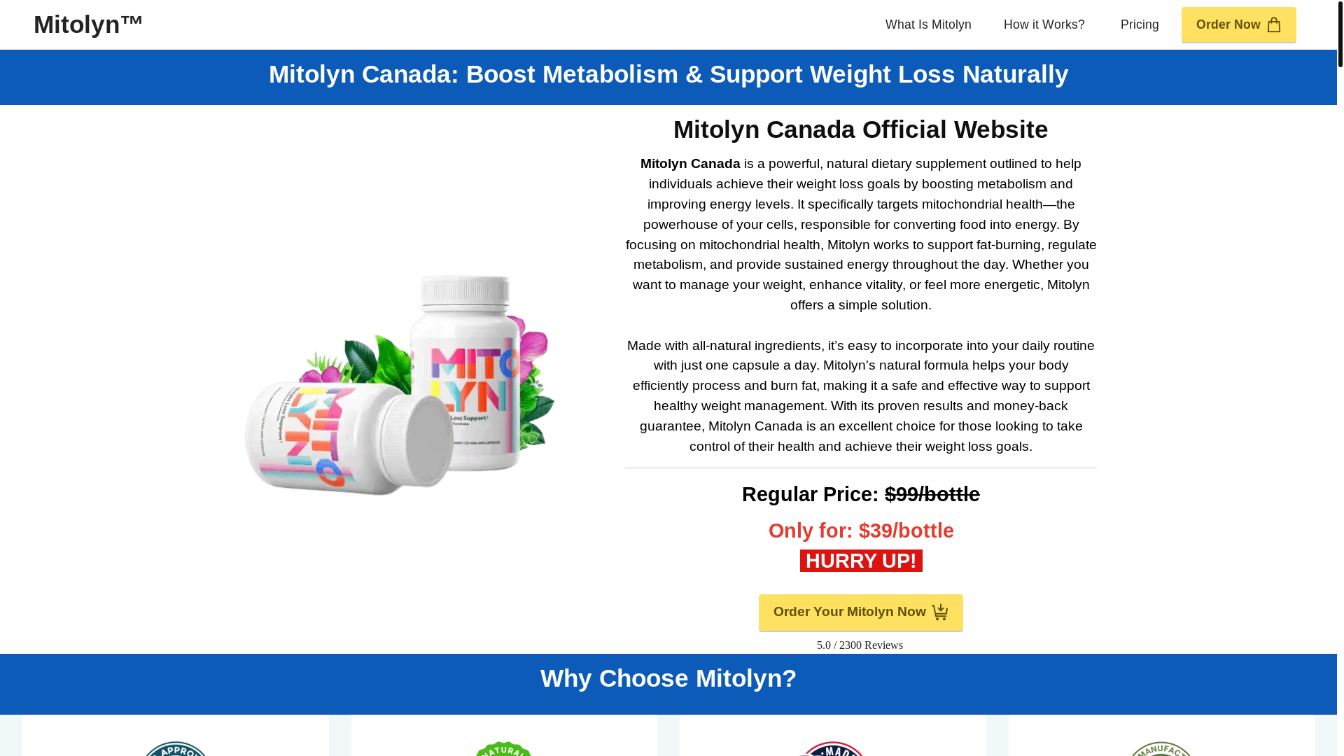 website screenshot of https://mit-mitolyn.ca/