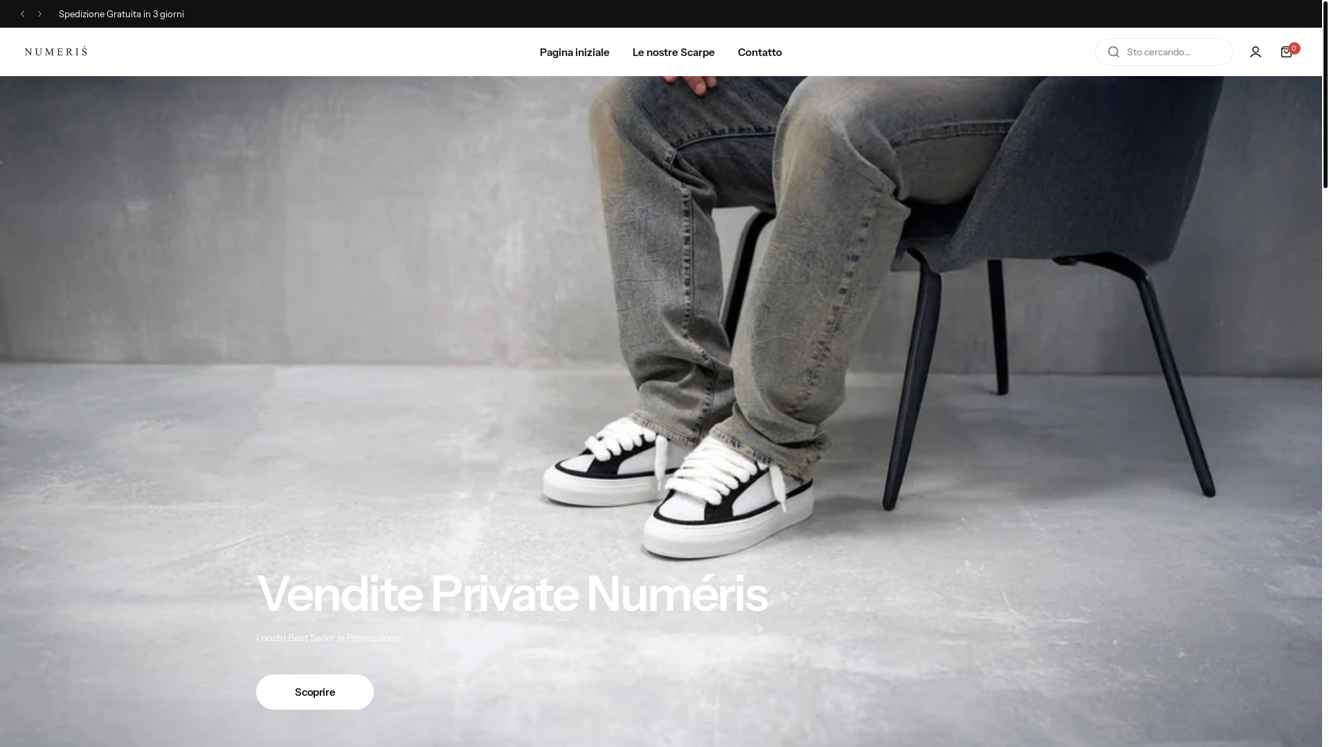 website screenshot of https://numeris-italia.com/
