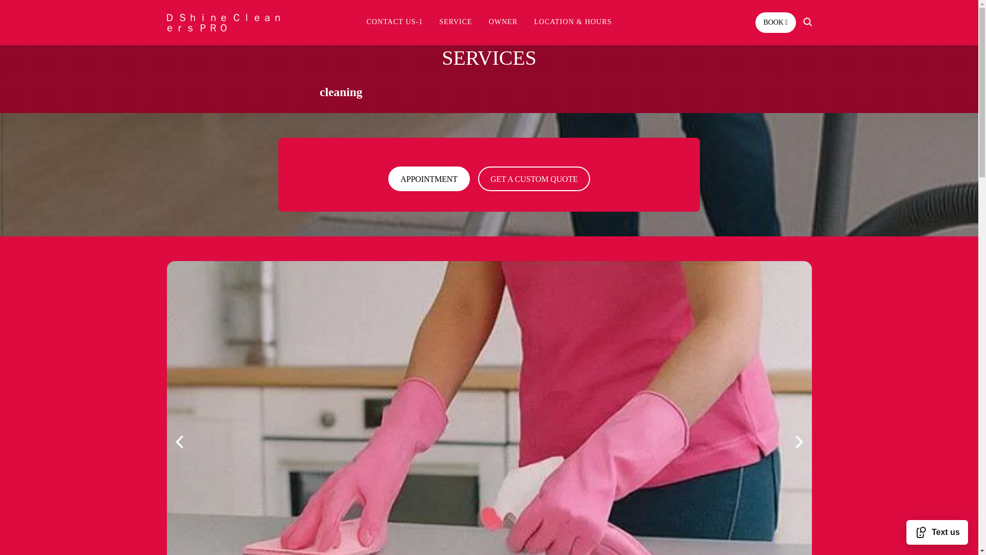 website screenshot of https://dshinecleanerspro.com/