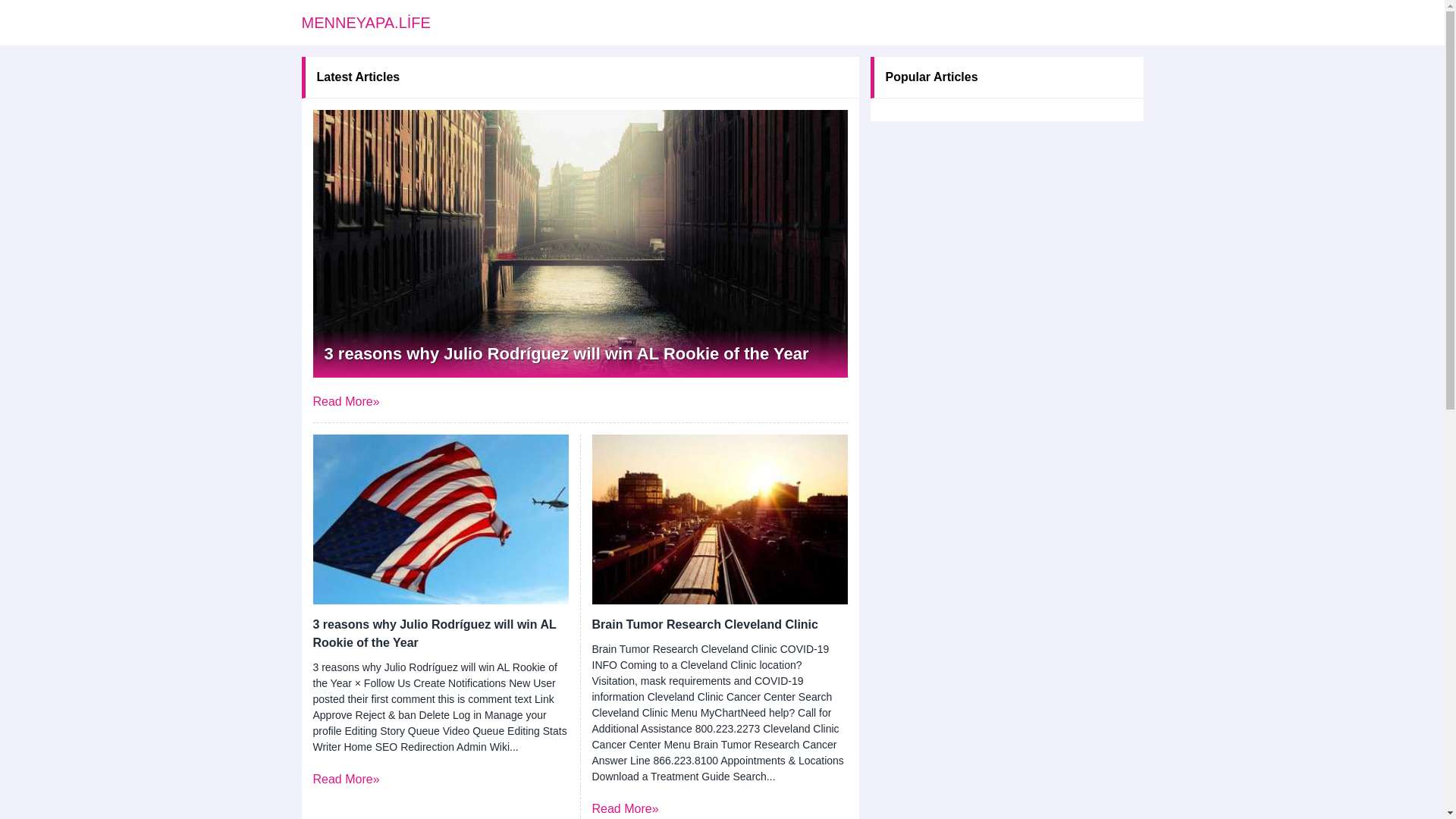 website screenshot of https://menneyapa.life/