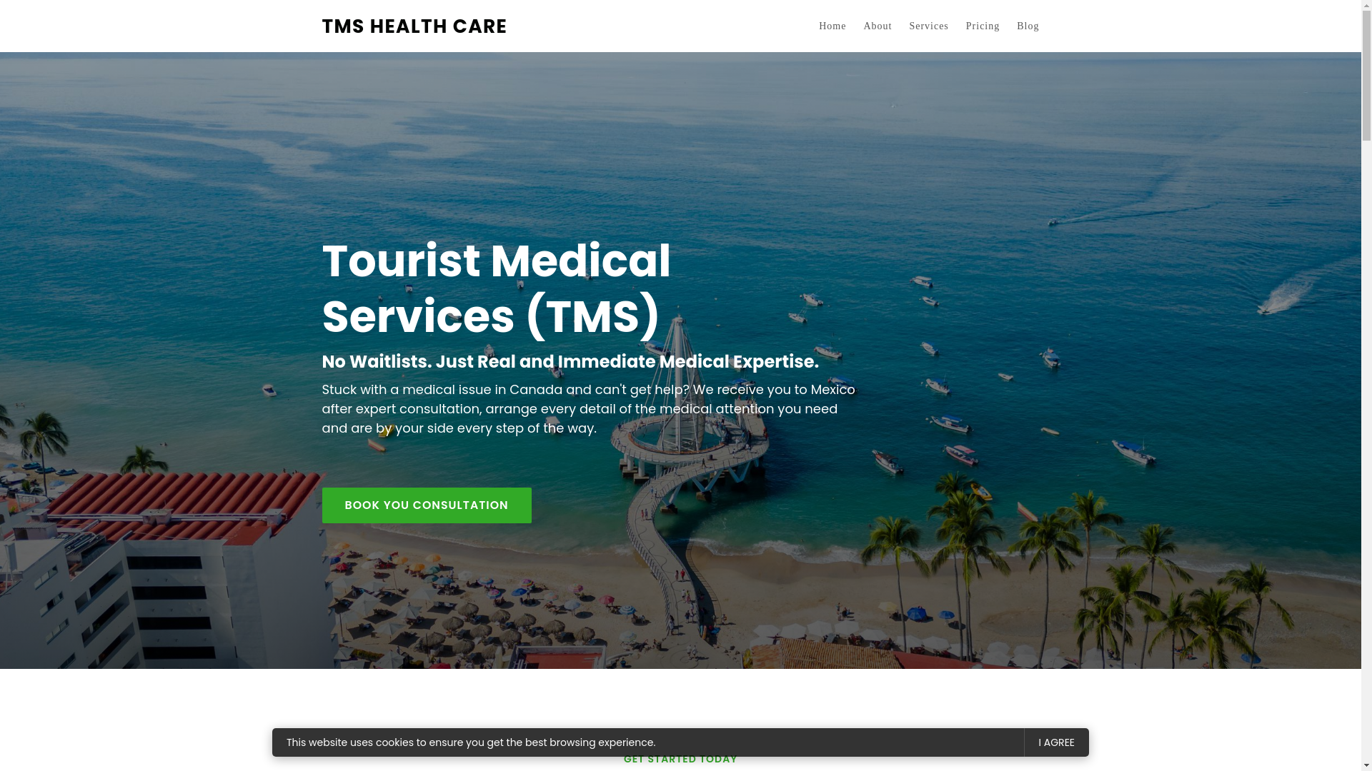 website screenshot of https://touristmedicalservices.com/