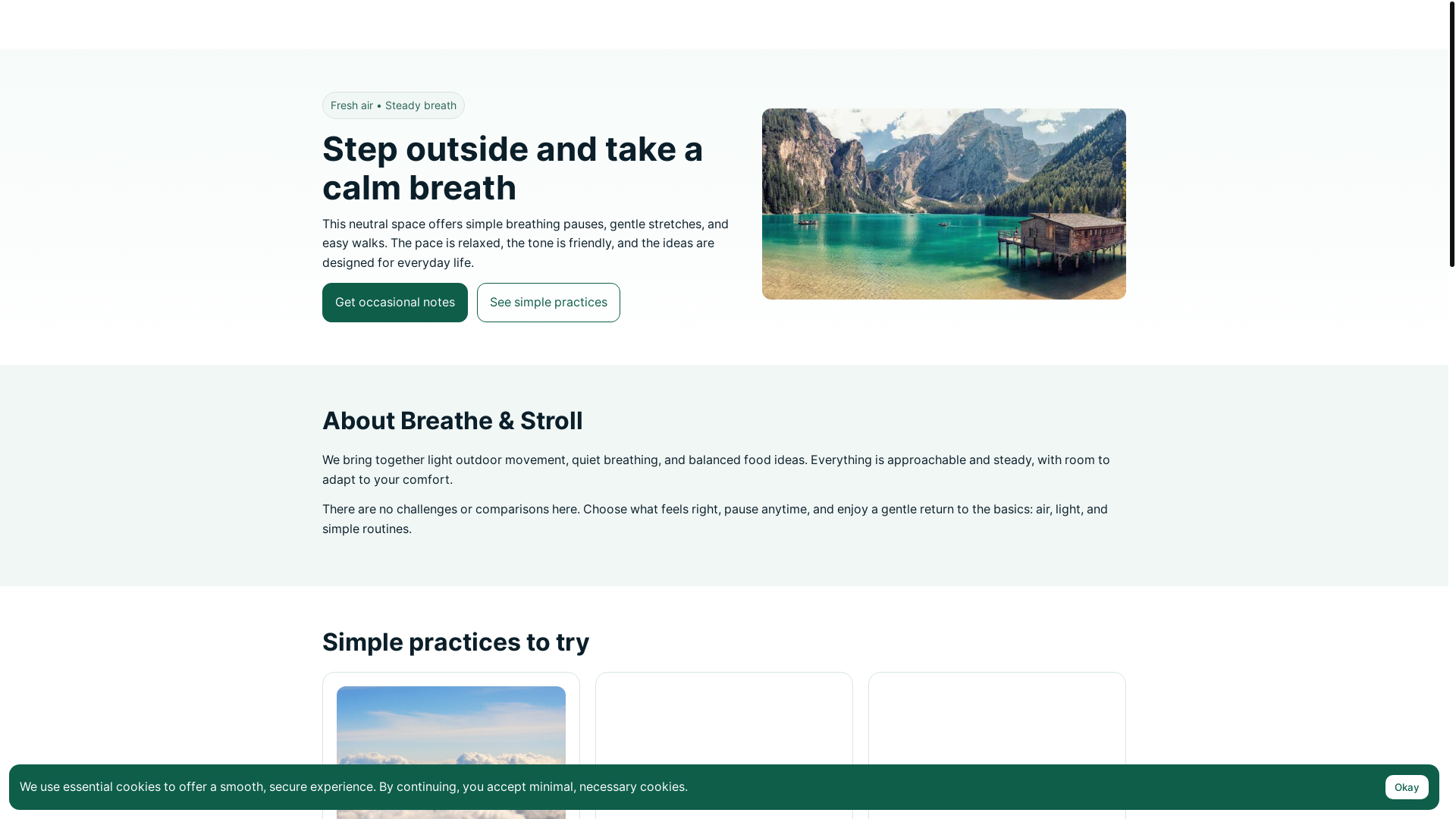 website screenshot of https://zaaladufo.shop/