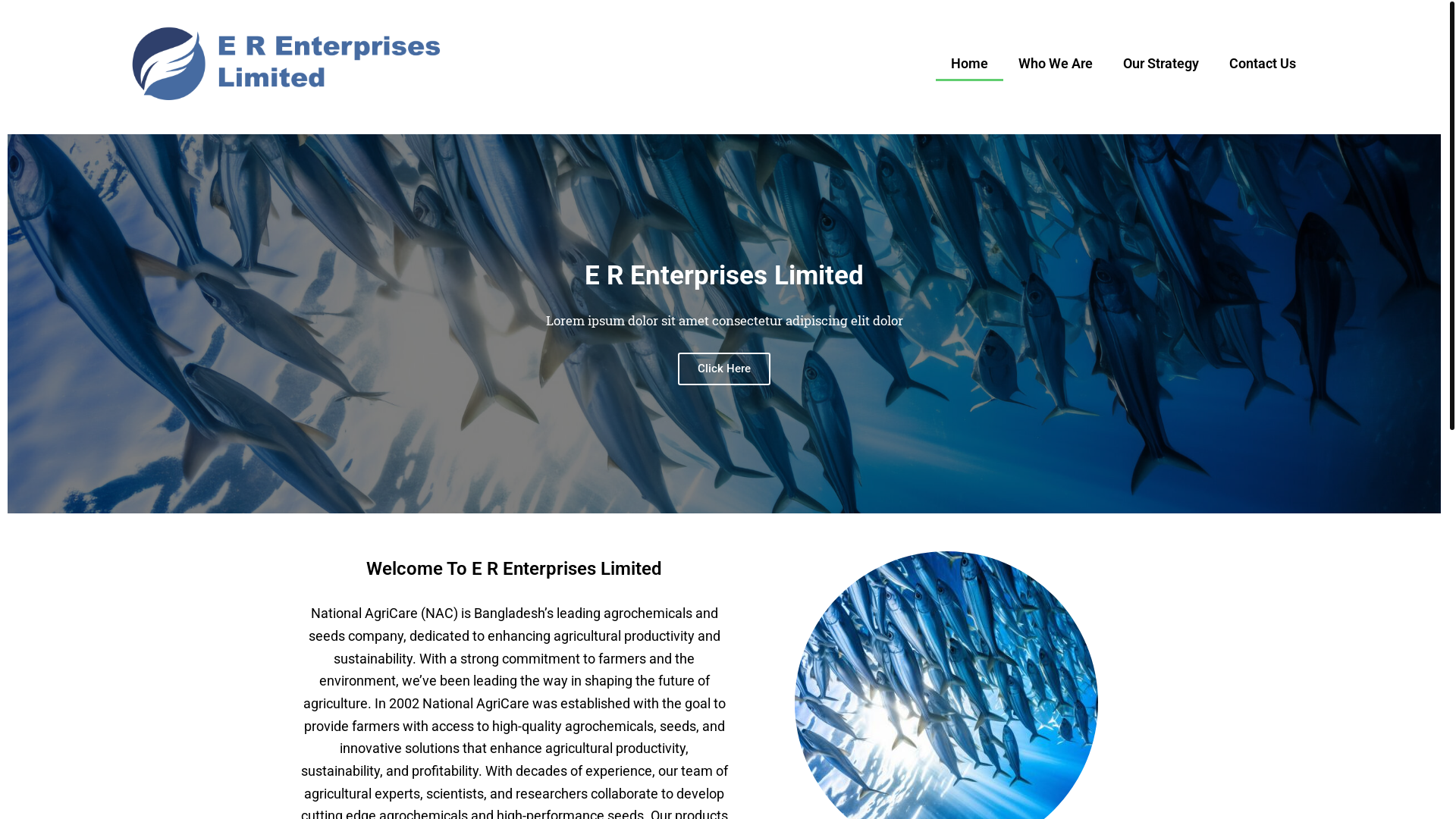 website screenshot of https://erenterprise.org/