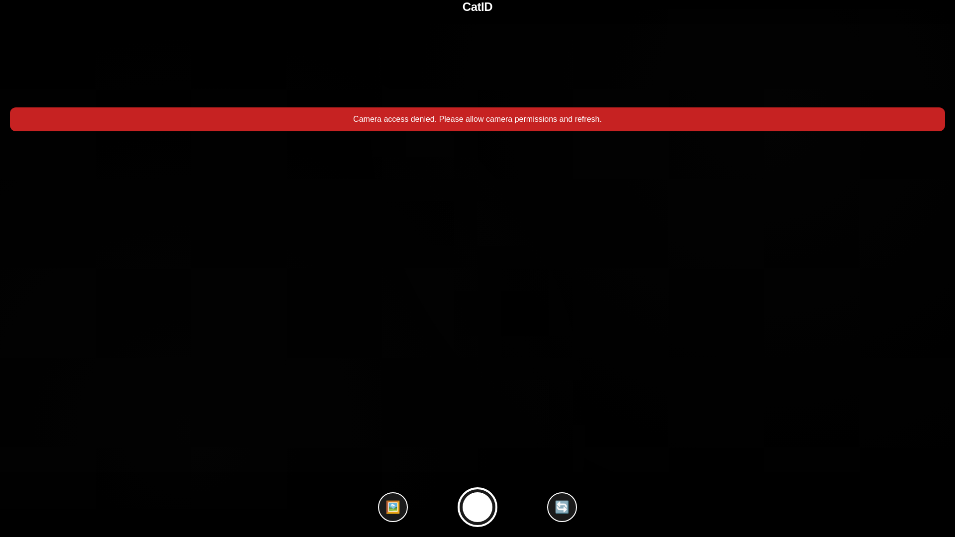 website screenshot of https://cepisic.pages.dev/