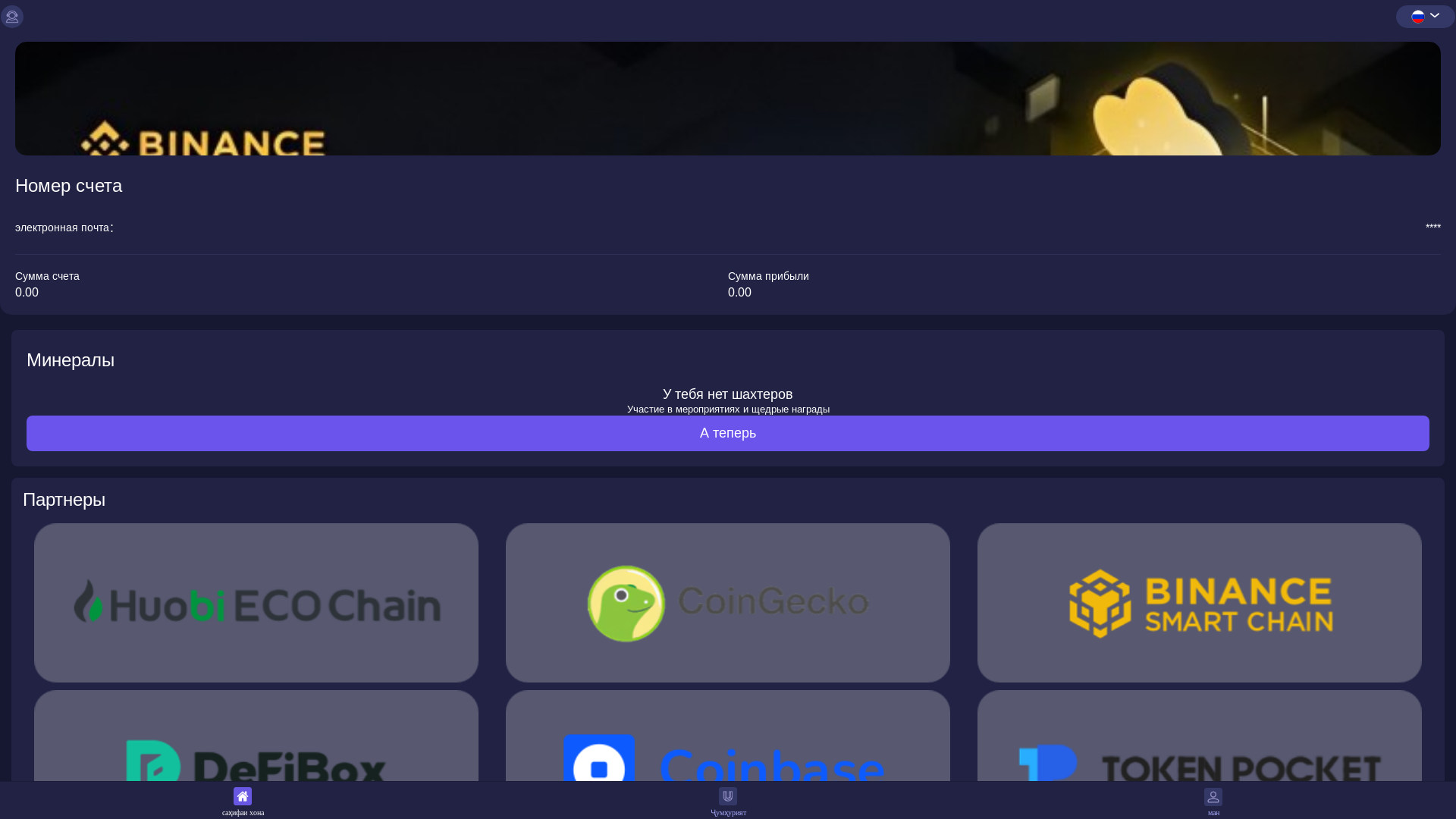 website screenshot of https://usdt1.network/