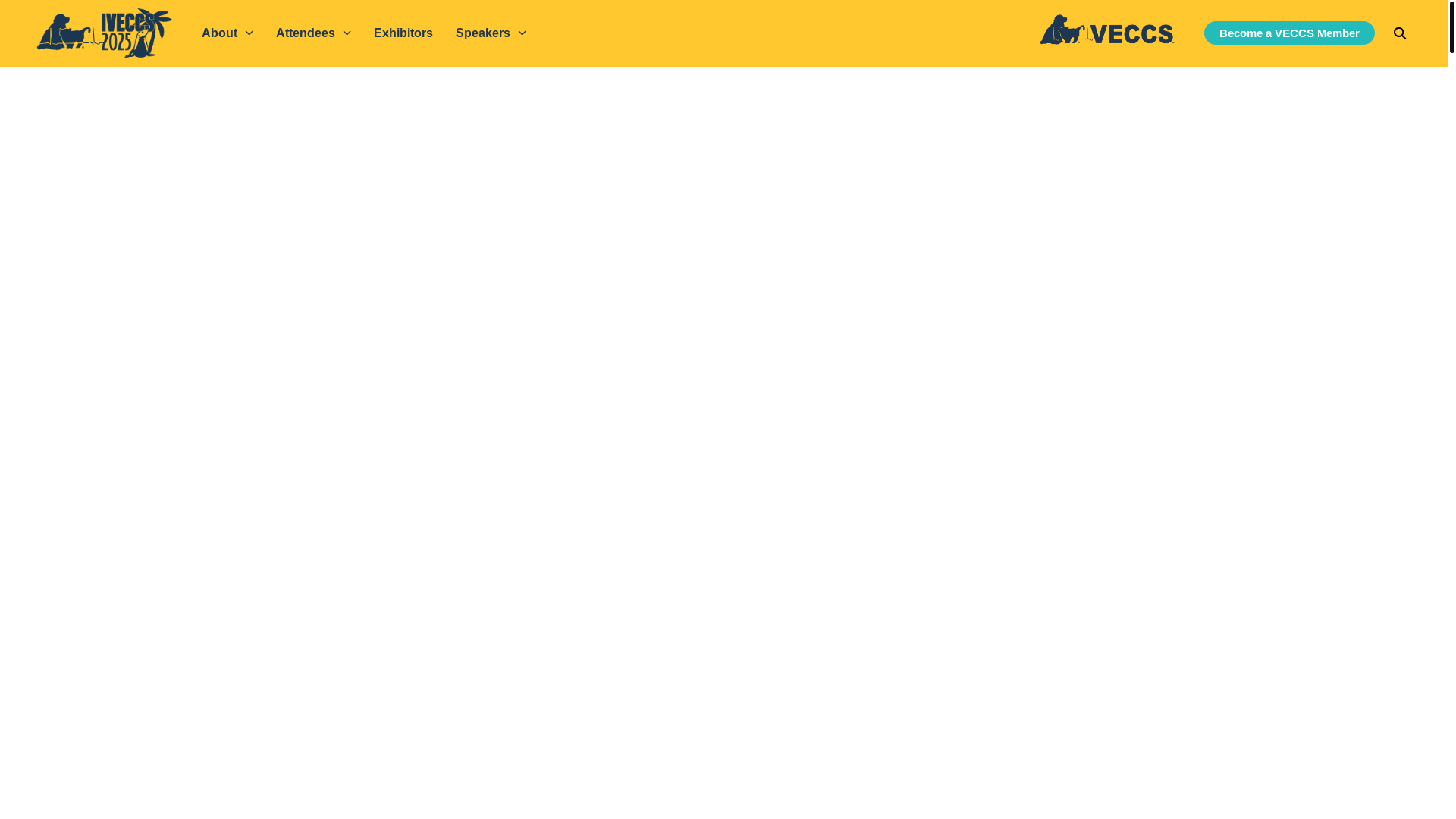 website screenshot of https://iveccs2025.org/