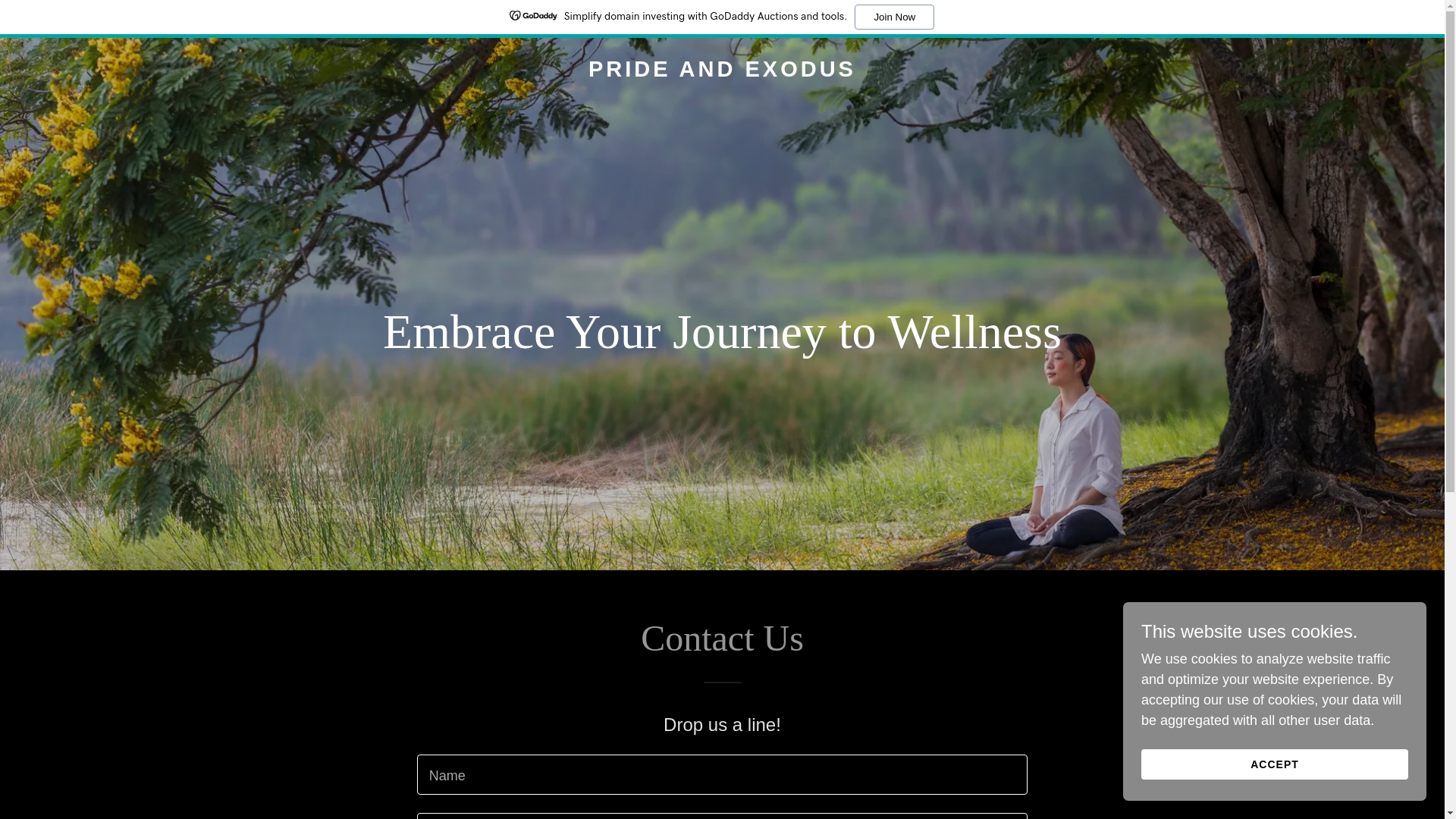 website screenshot of https://prideandexodus.com/