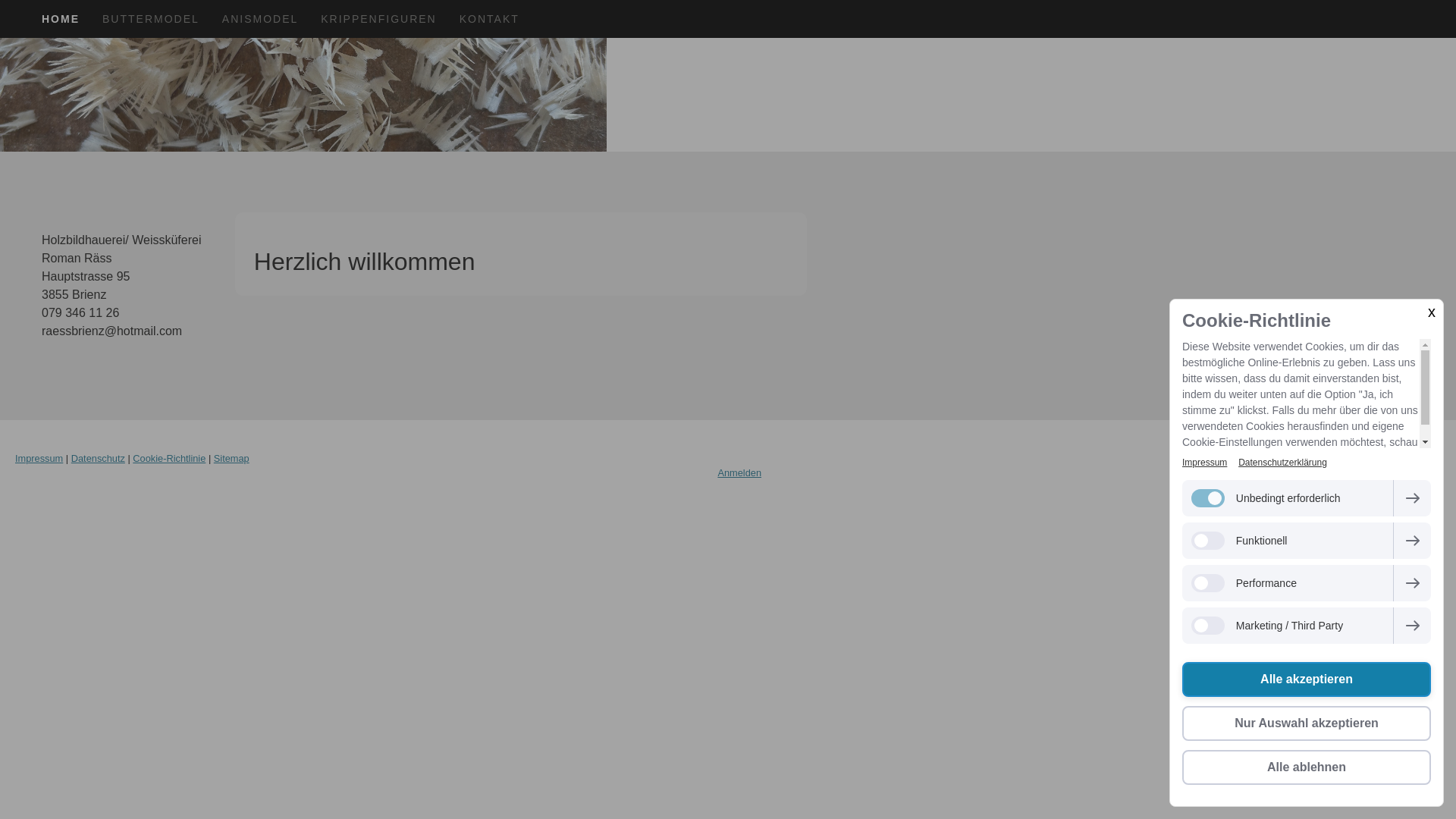 website screenshot of https://romanraess.ch/