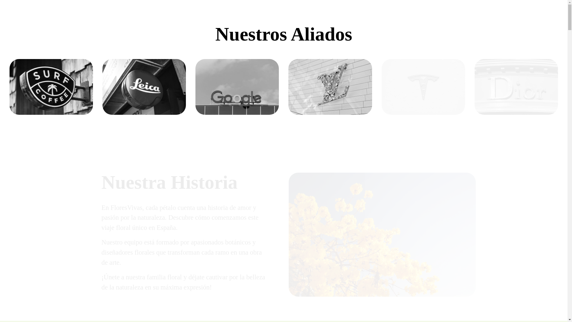 website screenshot of https://esohaguva.store/