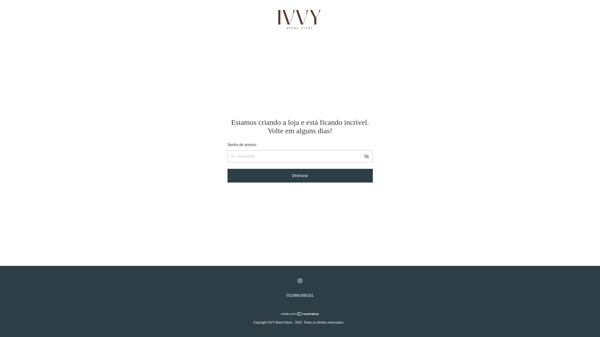 website screenshot of https://ivvystore.com.br/
