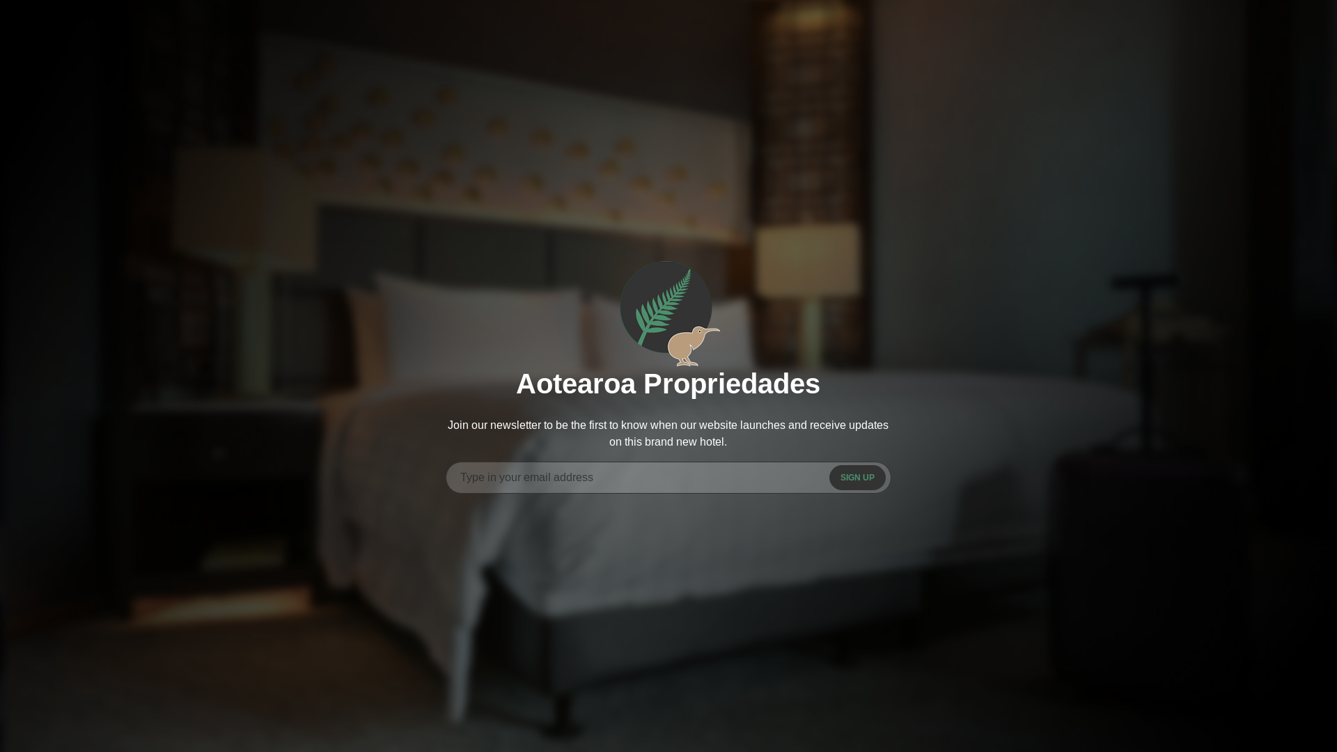 website screenshot of https://aotearoapropiedades.com/