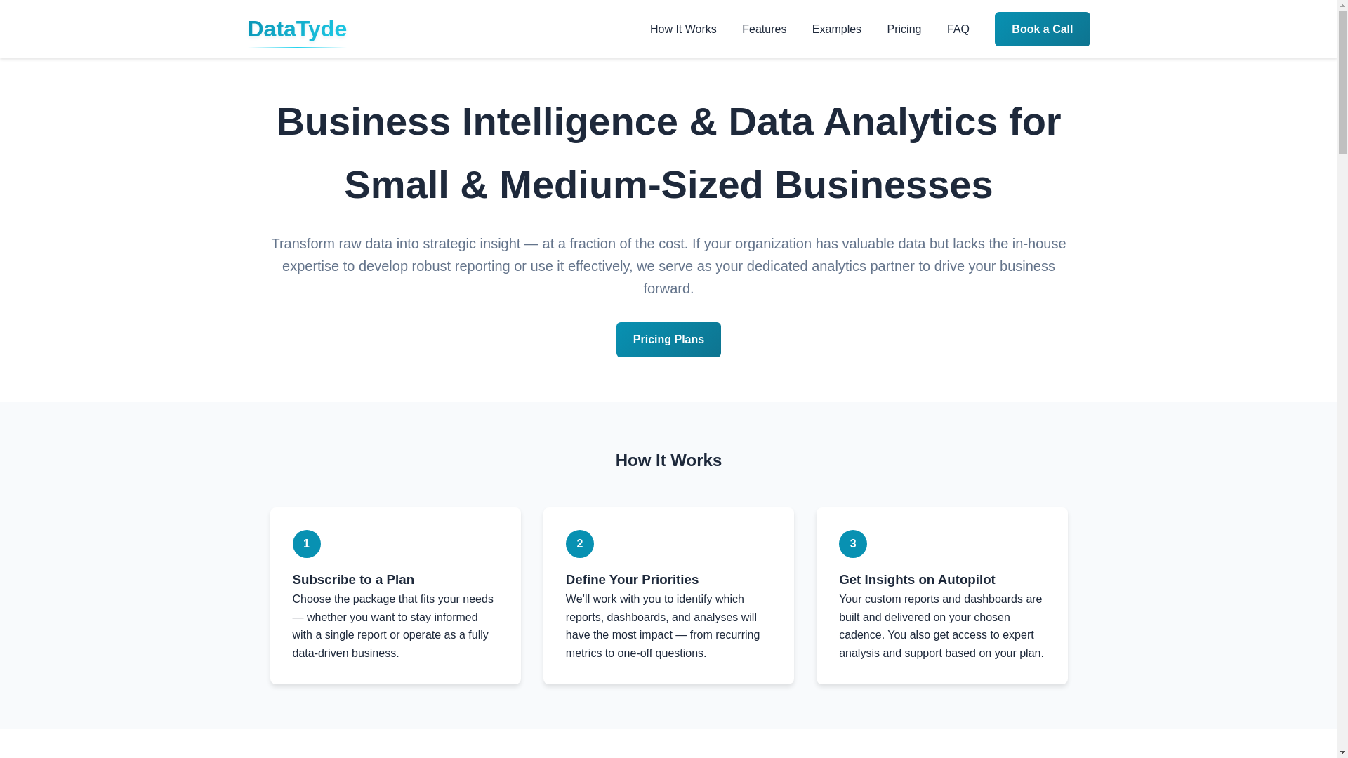 website screenshot of https://datatyde-landing-page.pages.dev/