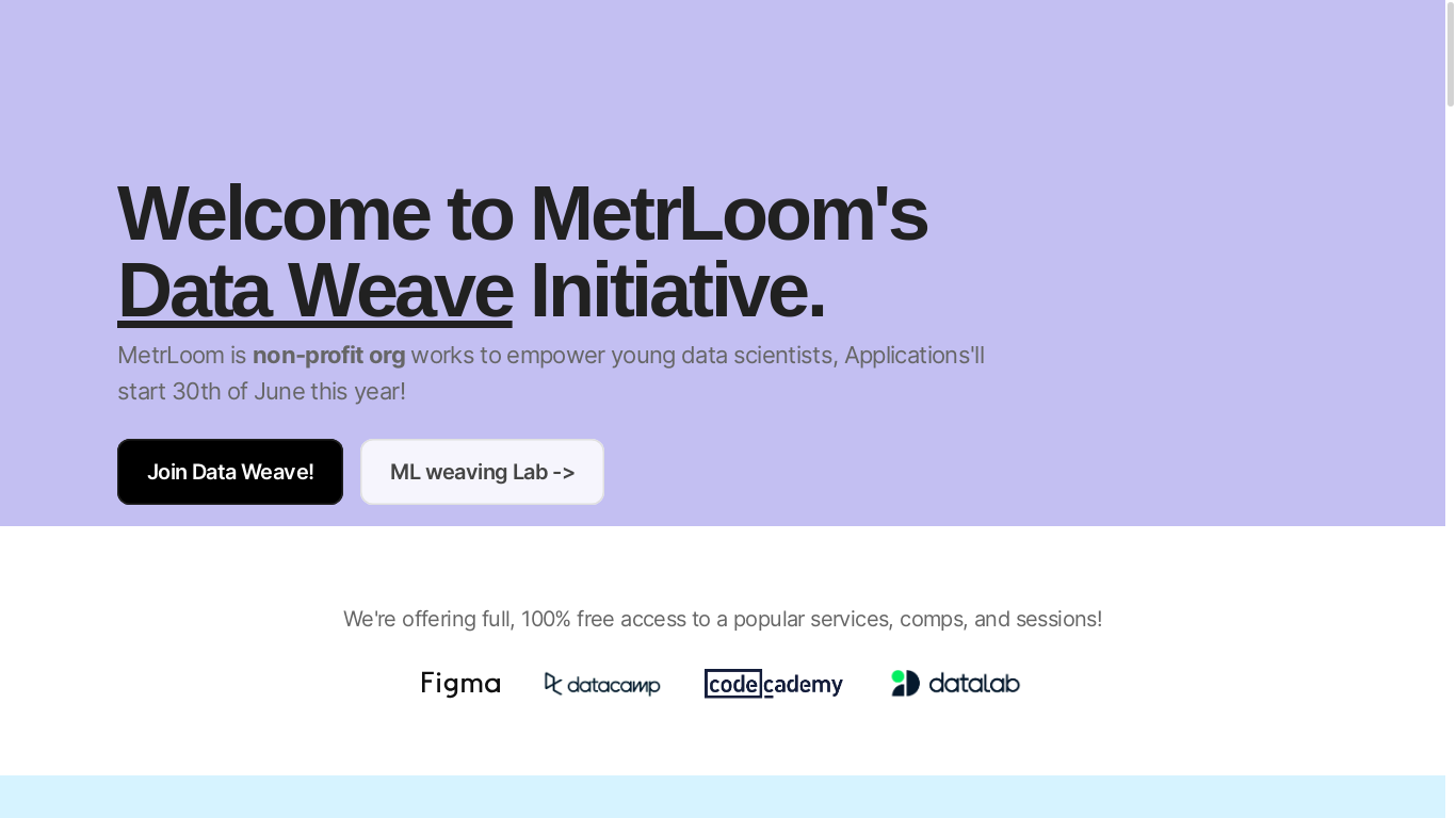 website screenshot of https://metrloom.tech/