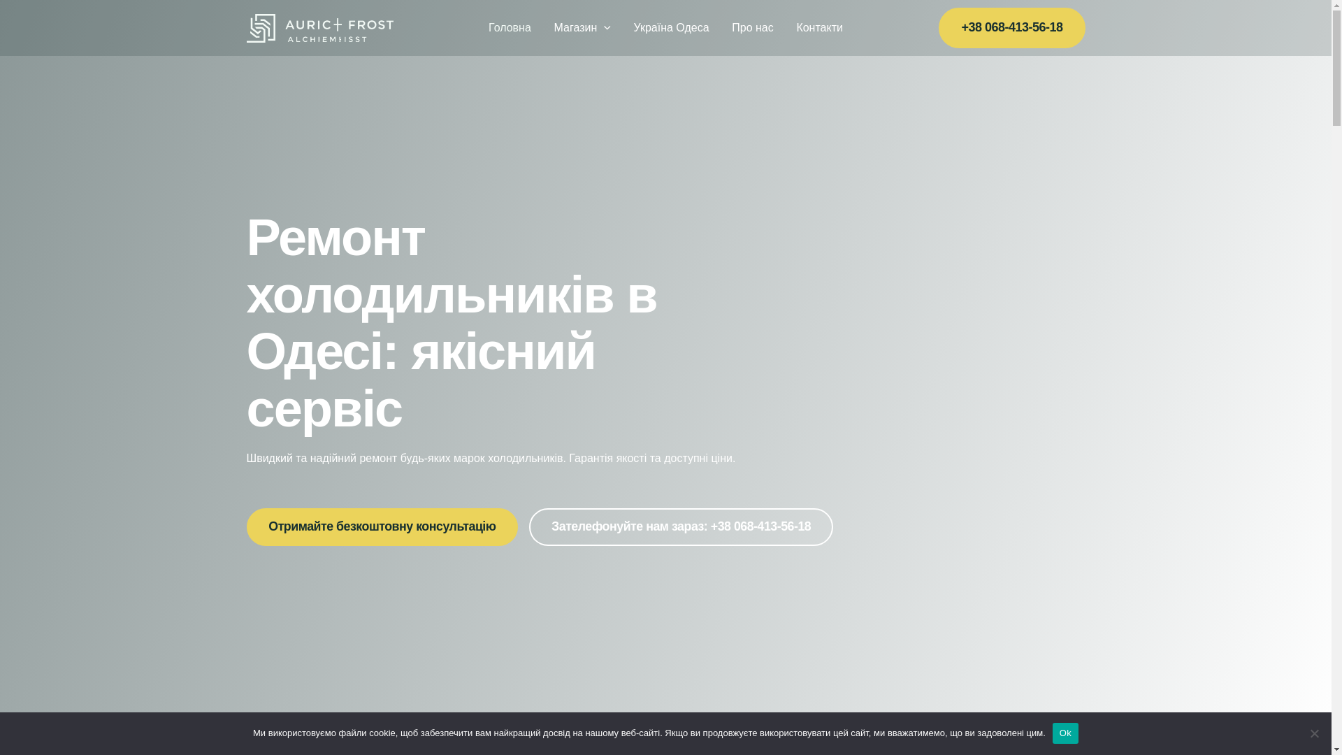 website screenshot of https://profi-cold-service.space/