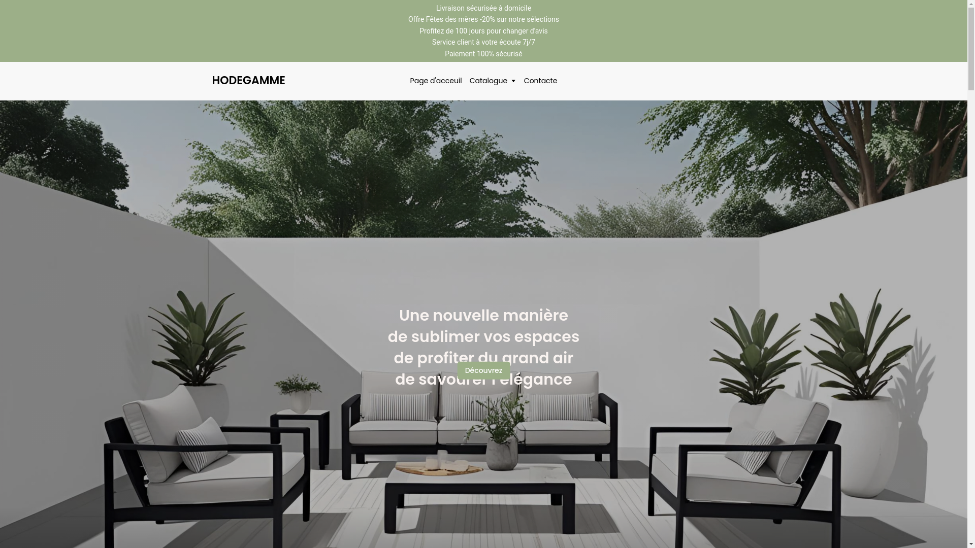 website screenshot of https://hodegammestore.com/