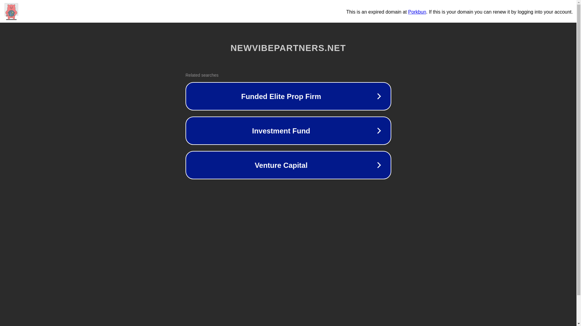 website screenshot of https://newvibepartners.net/