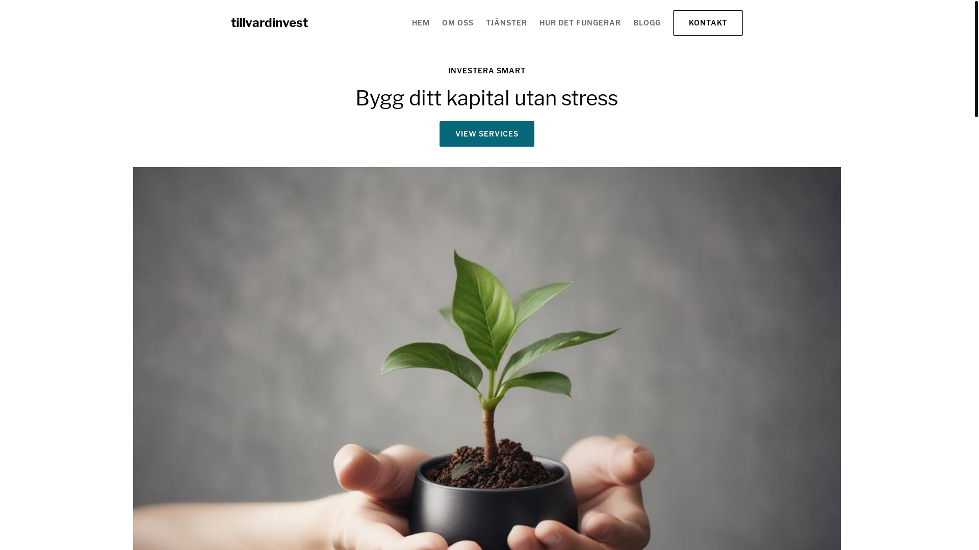 website screenshot of https://tillvardinvest.com/