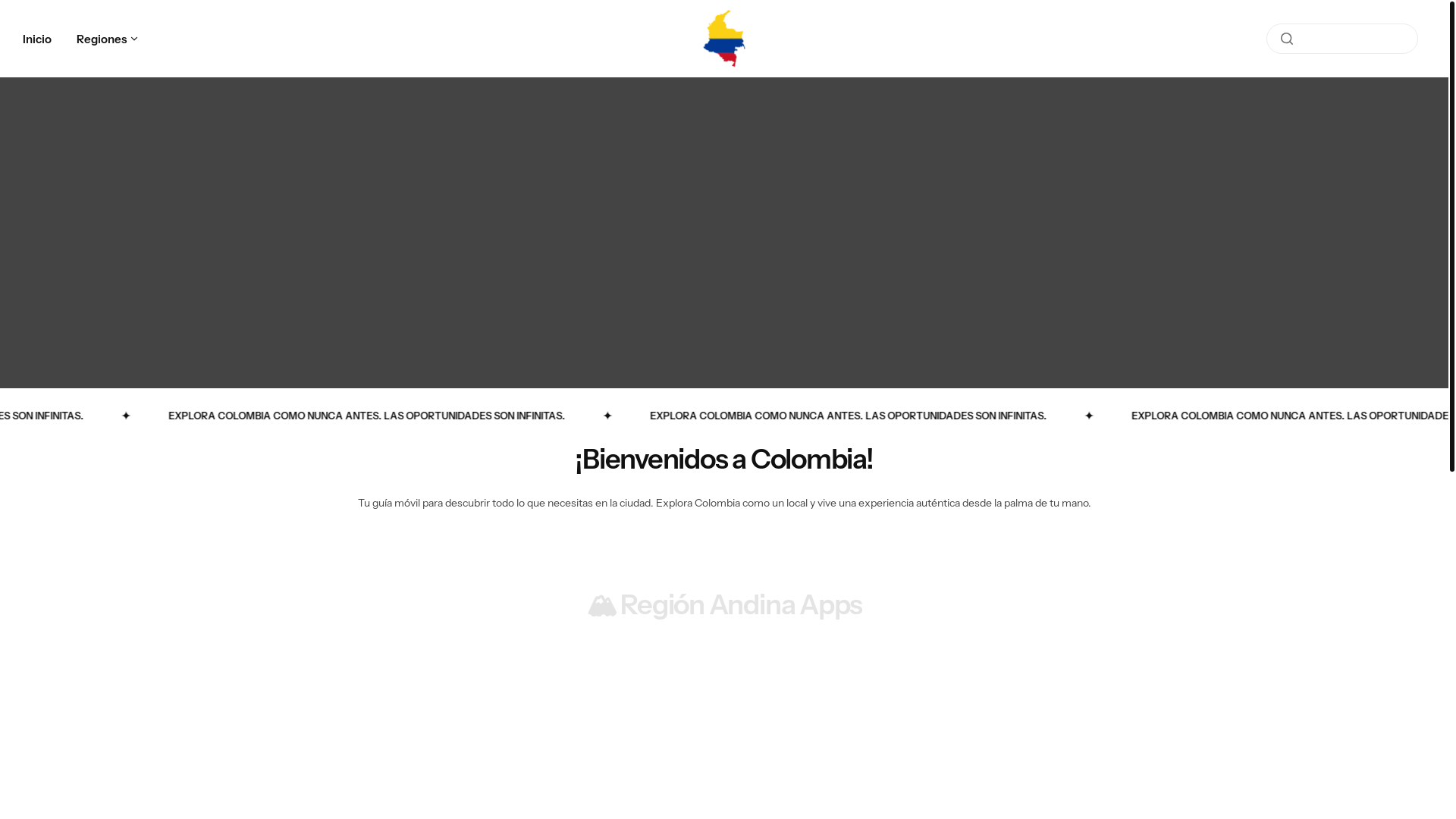 website screenshot of https://misantamarta.online/