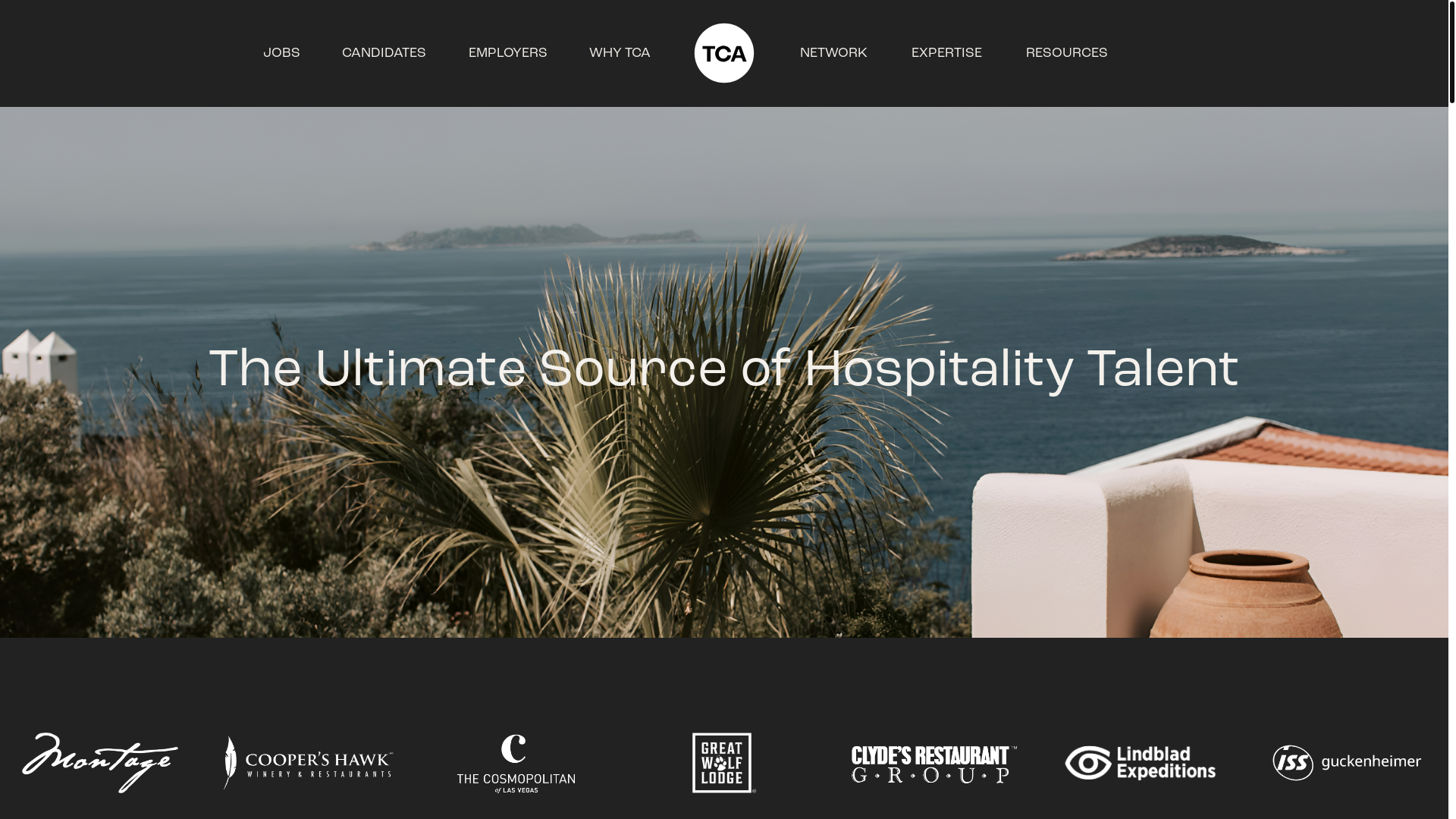 website screenshot of https://consultingthe.org/