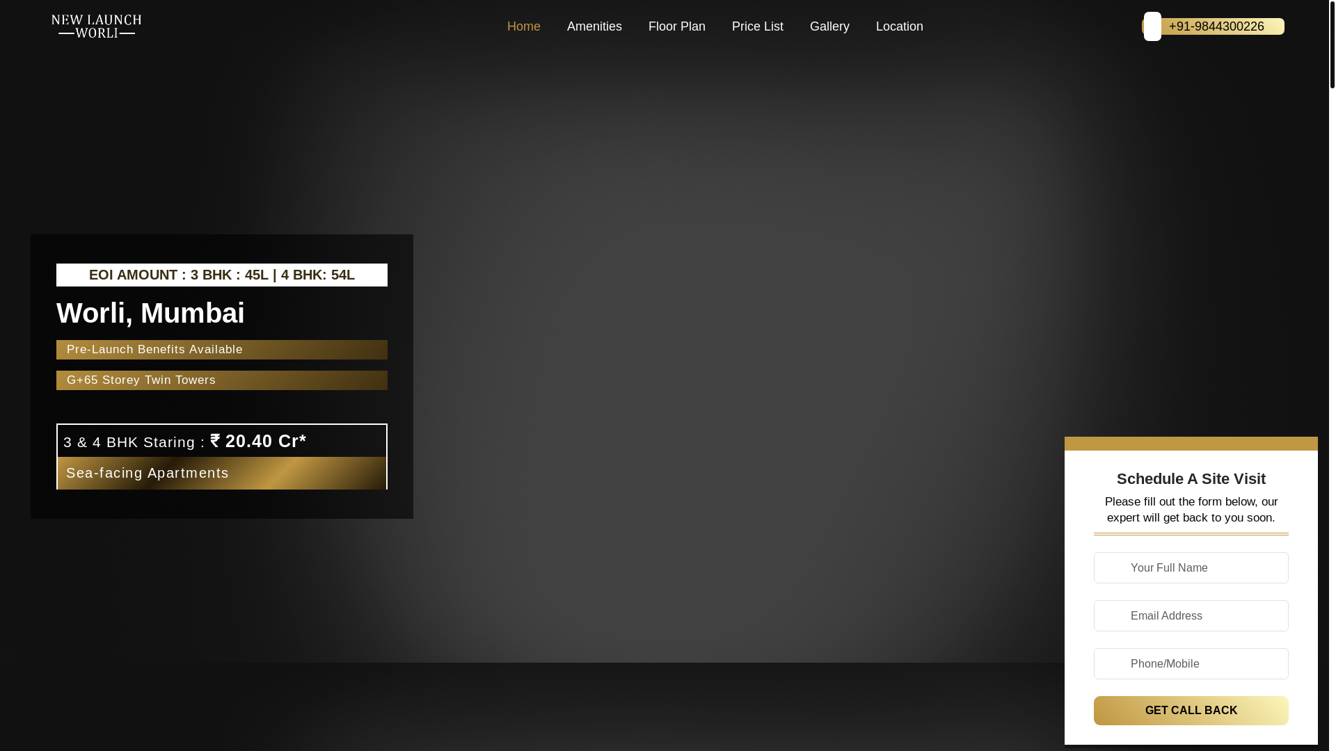 website screenshot of https://newlaunchworli.net/
