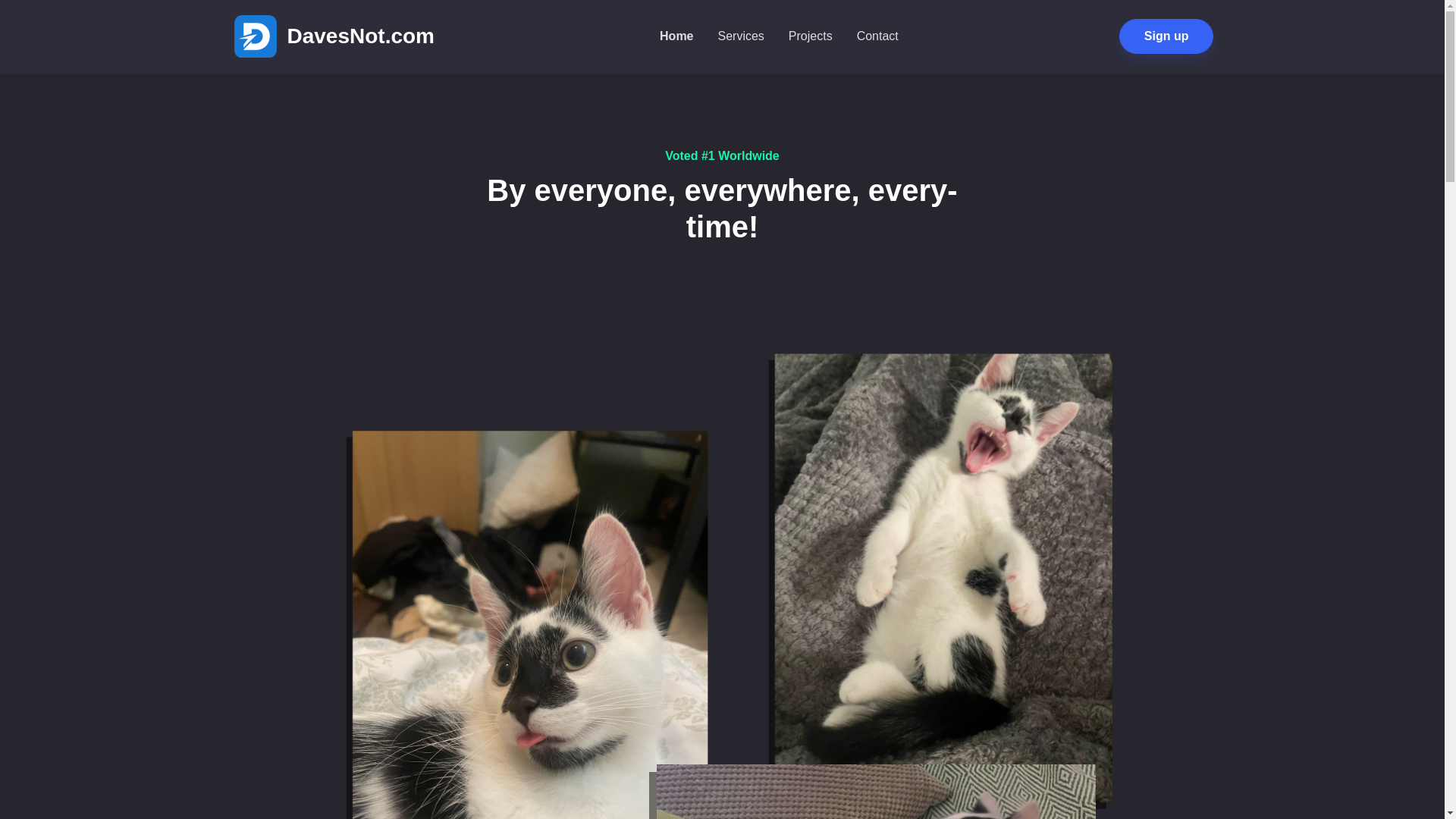 website screenshot of https://davesnot-test1.pages.dev/