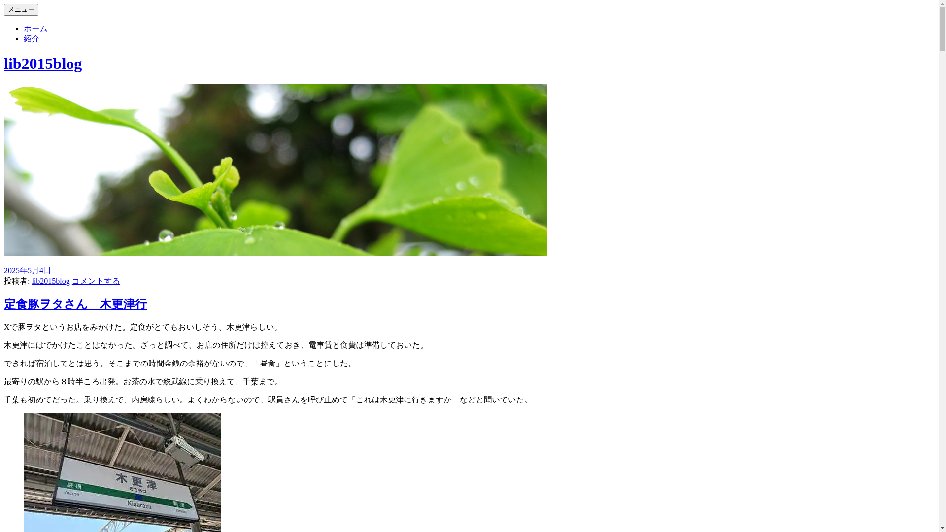 website screenshot of https://lib2015blog.com/