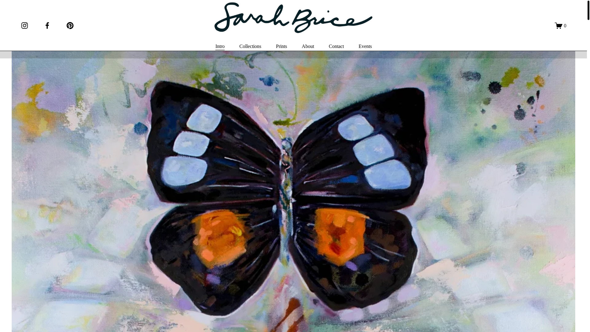 website screenshot of https://sarahbrice.art/