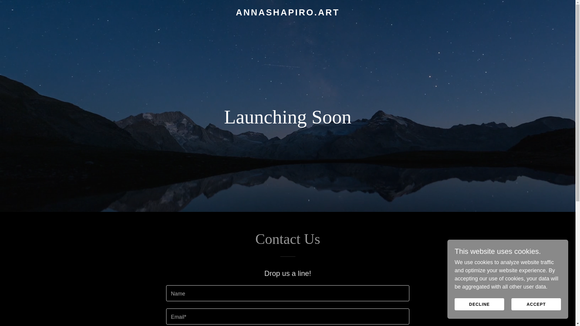 website screenshot of https://annashapiro.art/