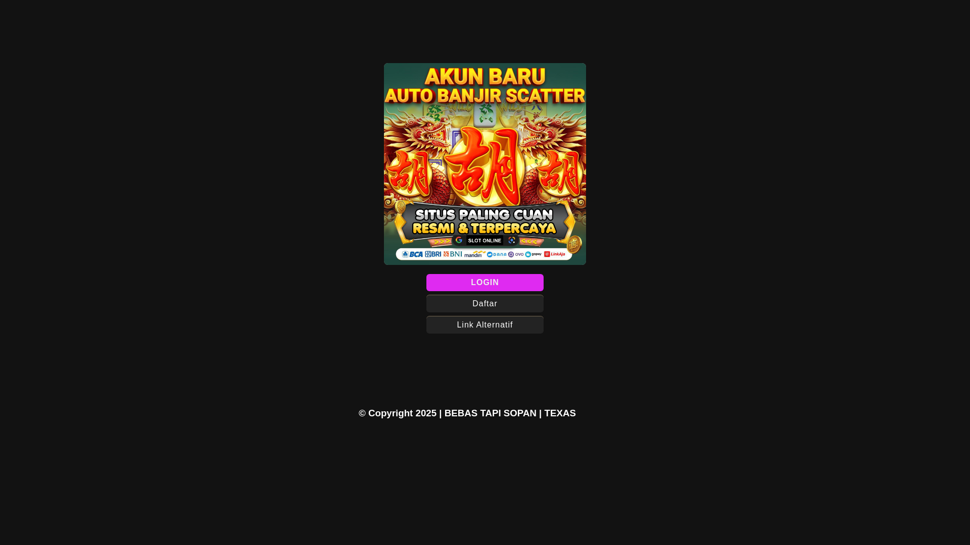 website screenshot of https://texas-303.pages.dev/