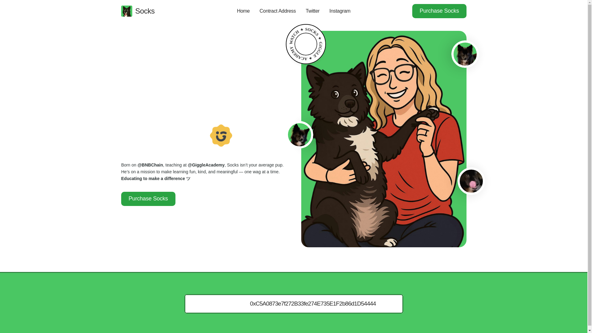 website screenshot of https://meetsocks.io/