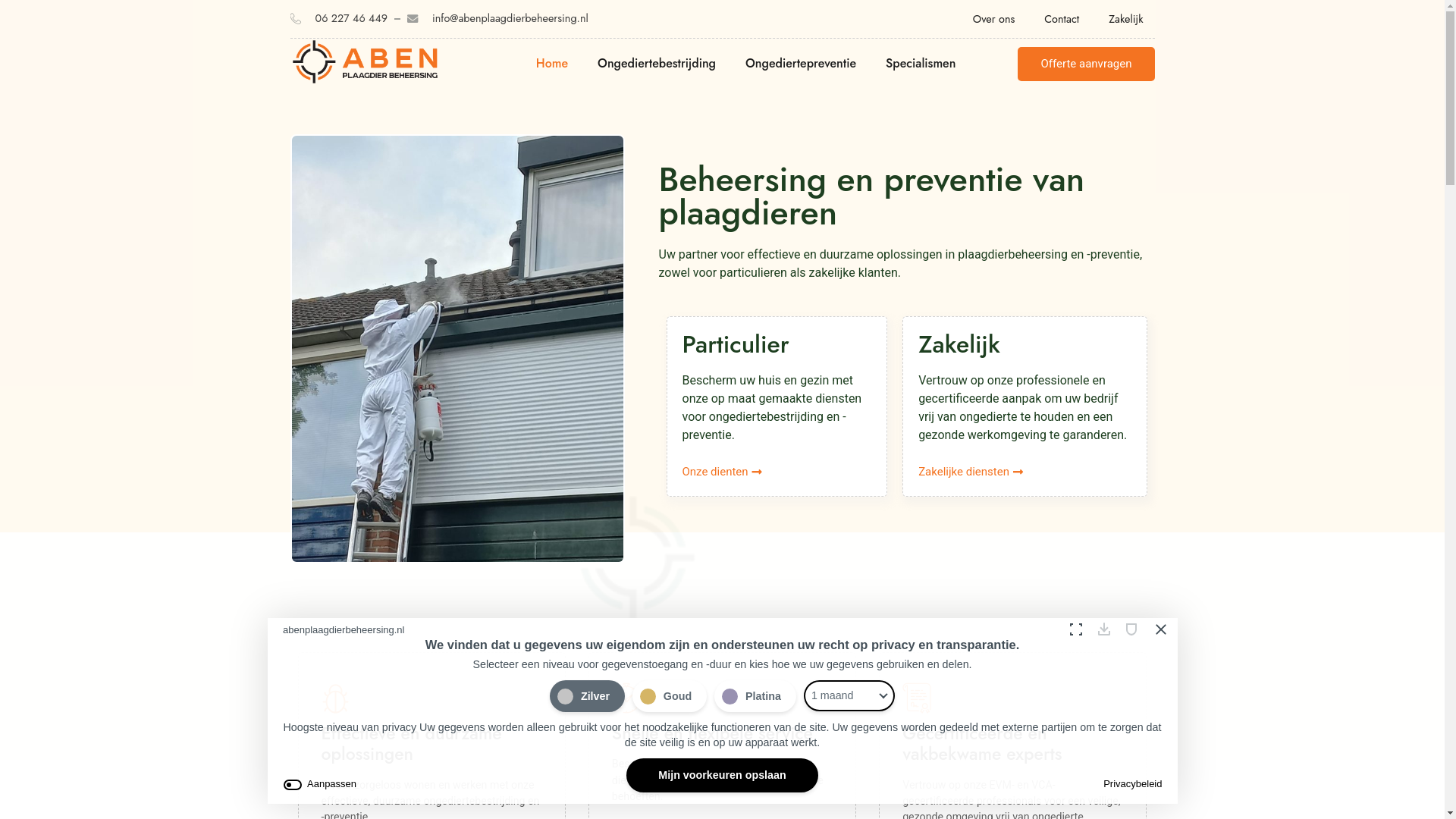 website screenshot of https://electricboatrental.nl/