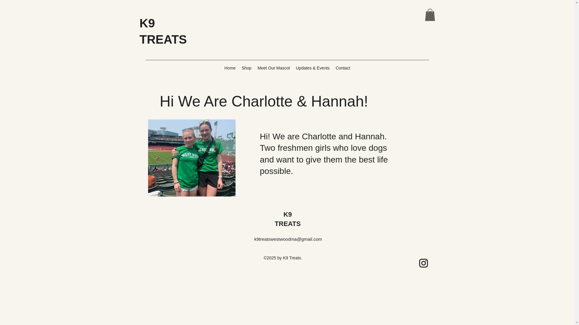 website screenshot of https://k9treatswestwoodma.com/