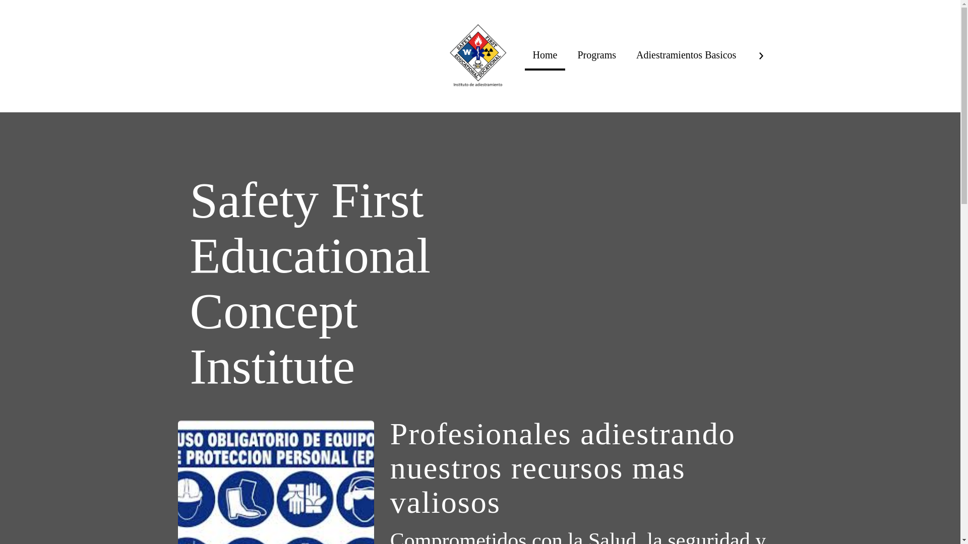 website screenshot of https://safetyfirsteducationalconcepts.com/
