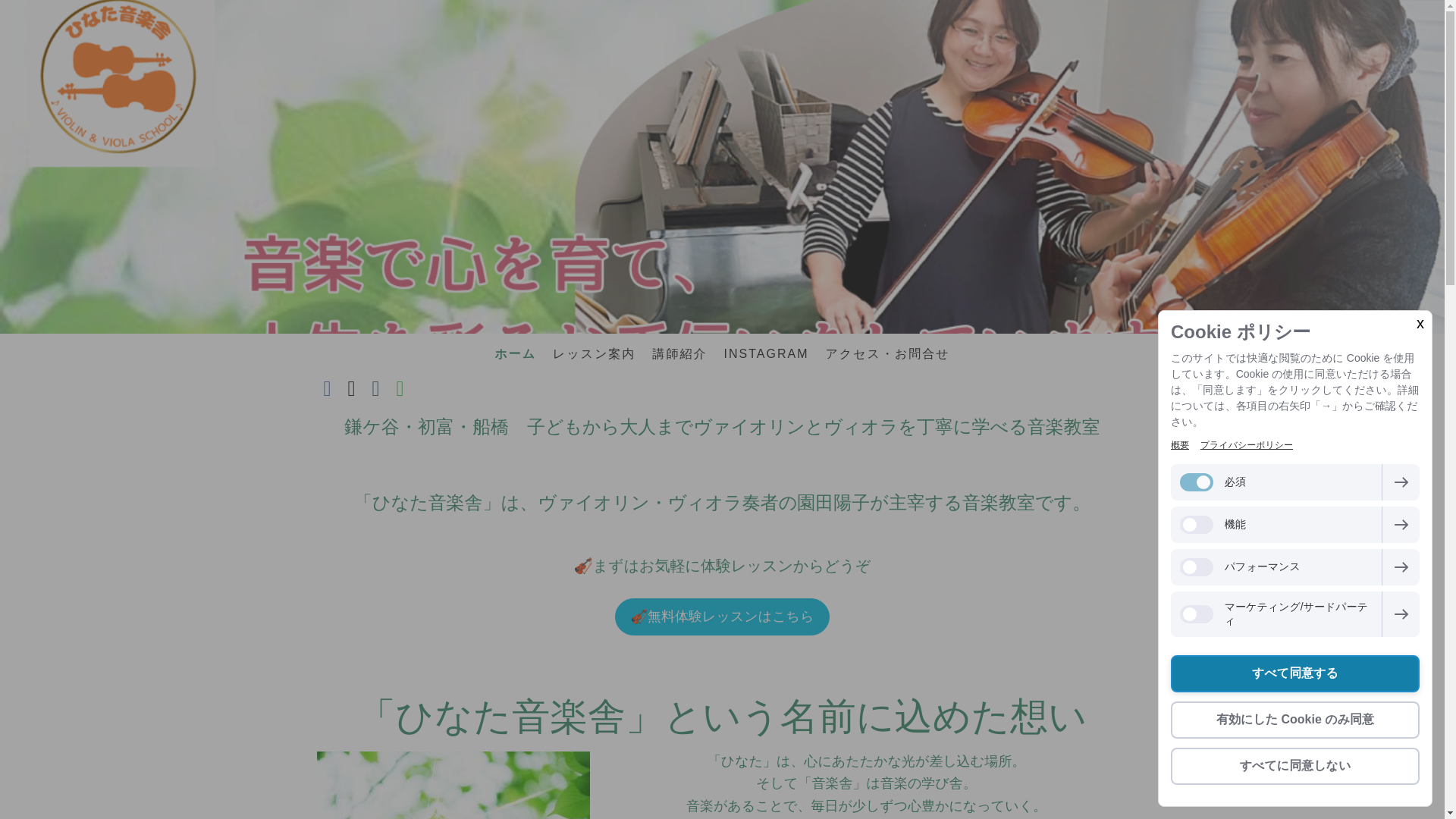 website screenshot of https://hinata-violinviola.com/