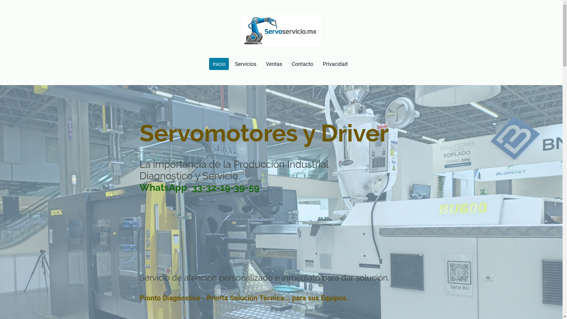 website screenshot of https://servotecnic.mx/