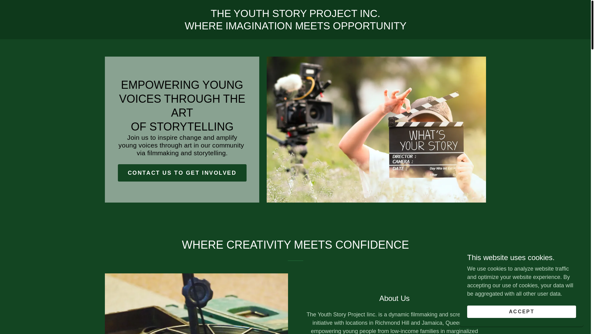 website screenshot of https://theyouthstoryproject.org/