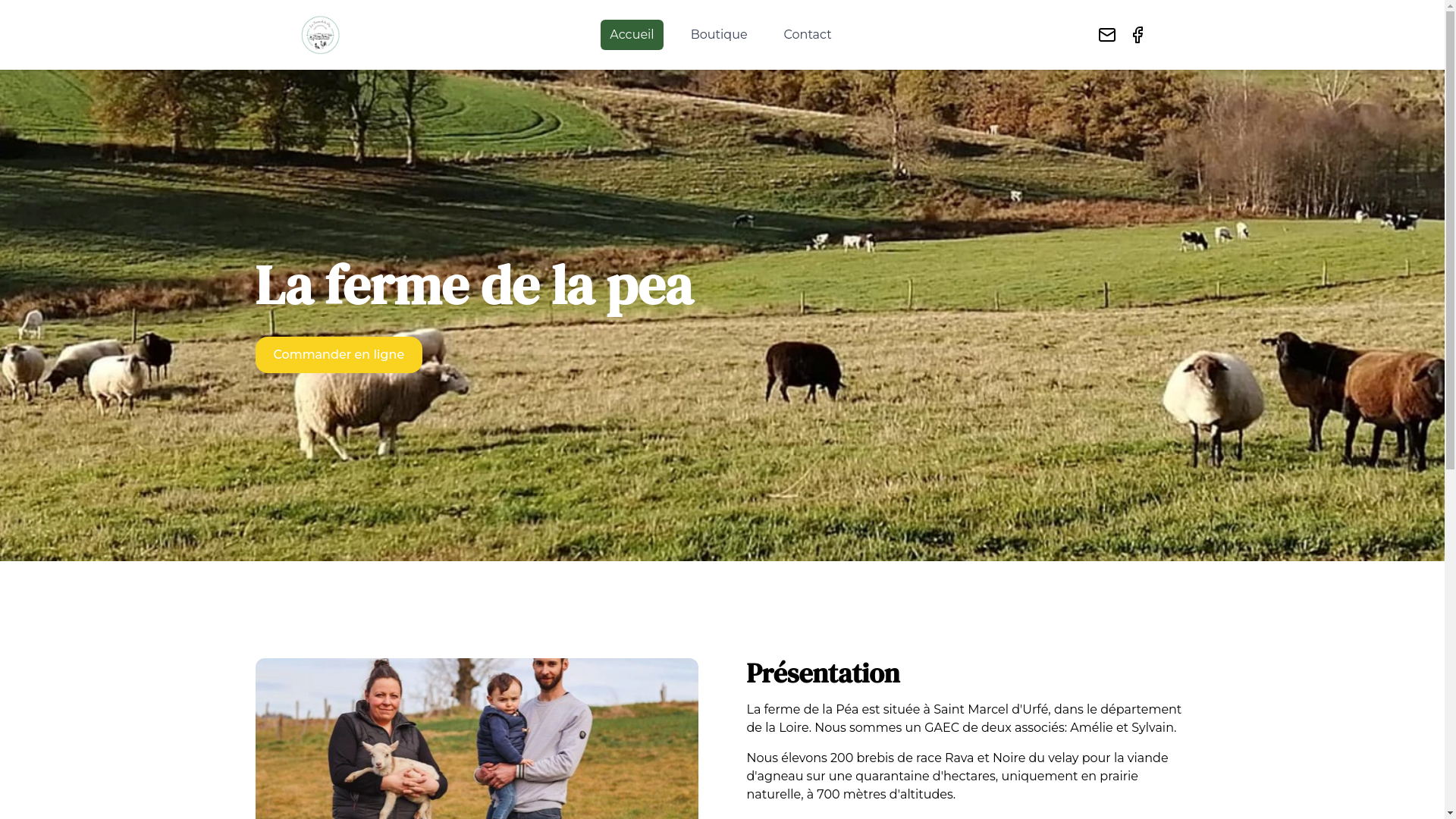 website screenshot of https://lafermedelapea.com/