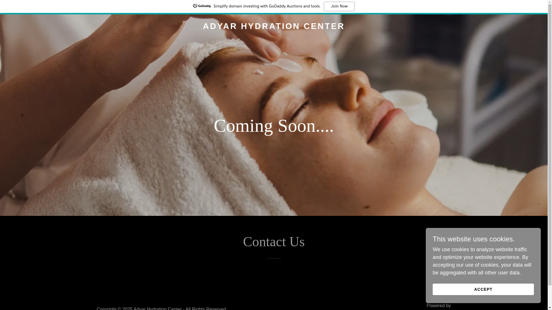 website screenshot of https://adyarhydracenter.in/