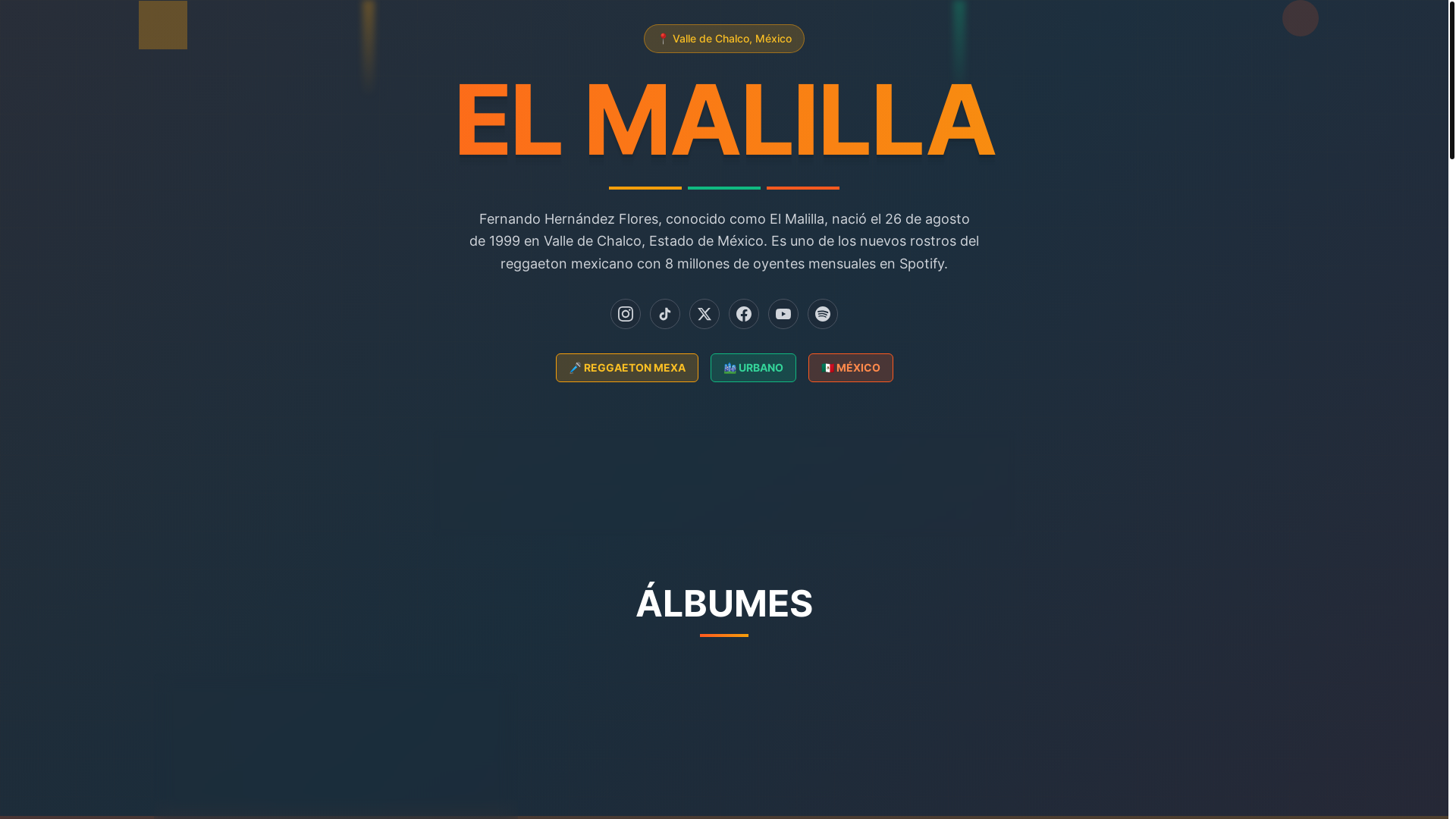 website screenshot of https://elmalilla.mx/