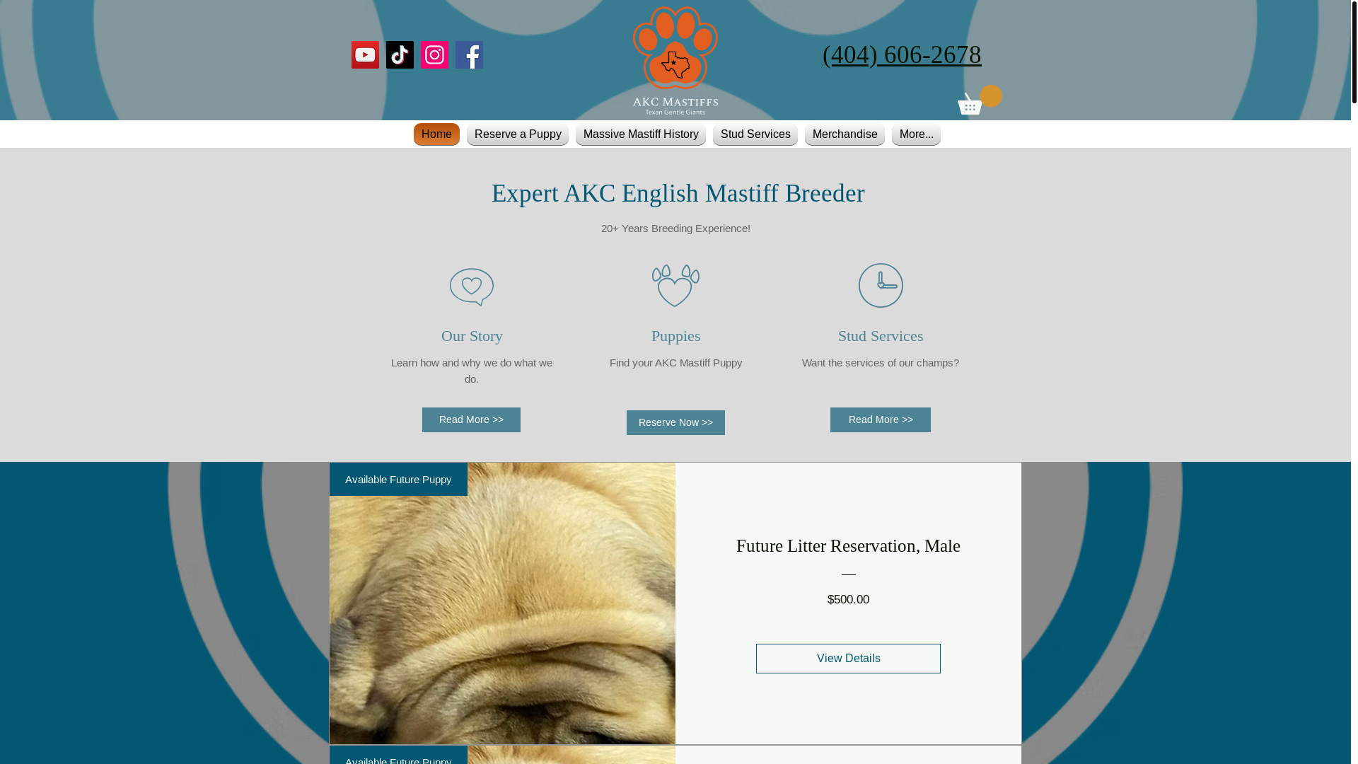 website screenshot of https://mastiffglitter.com/
