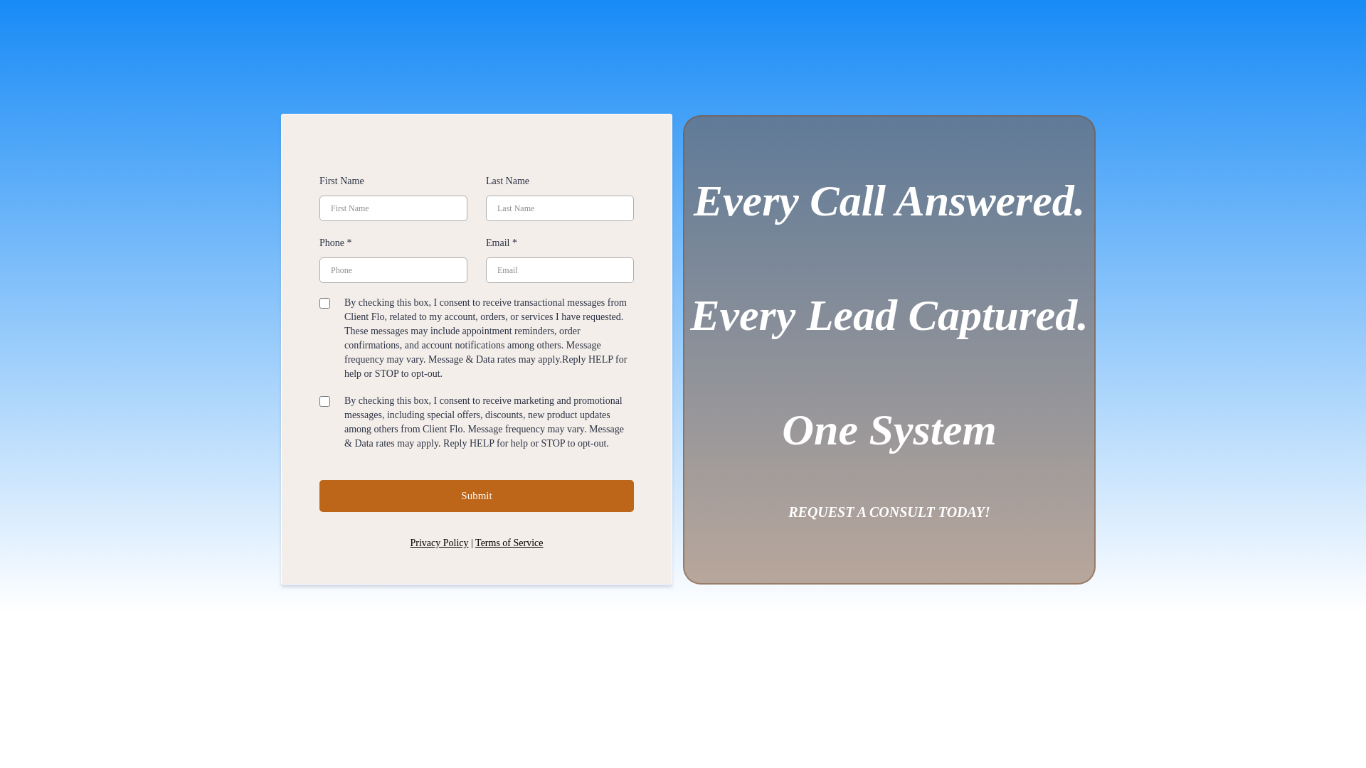 website screenshot of https://clientflo.org/