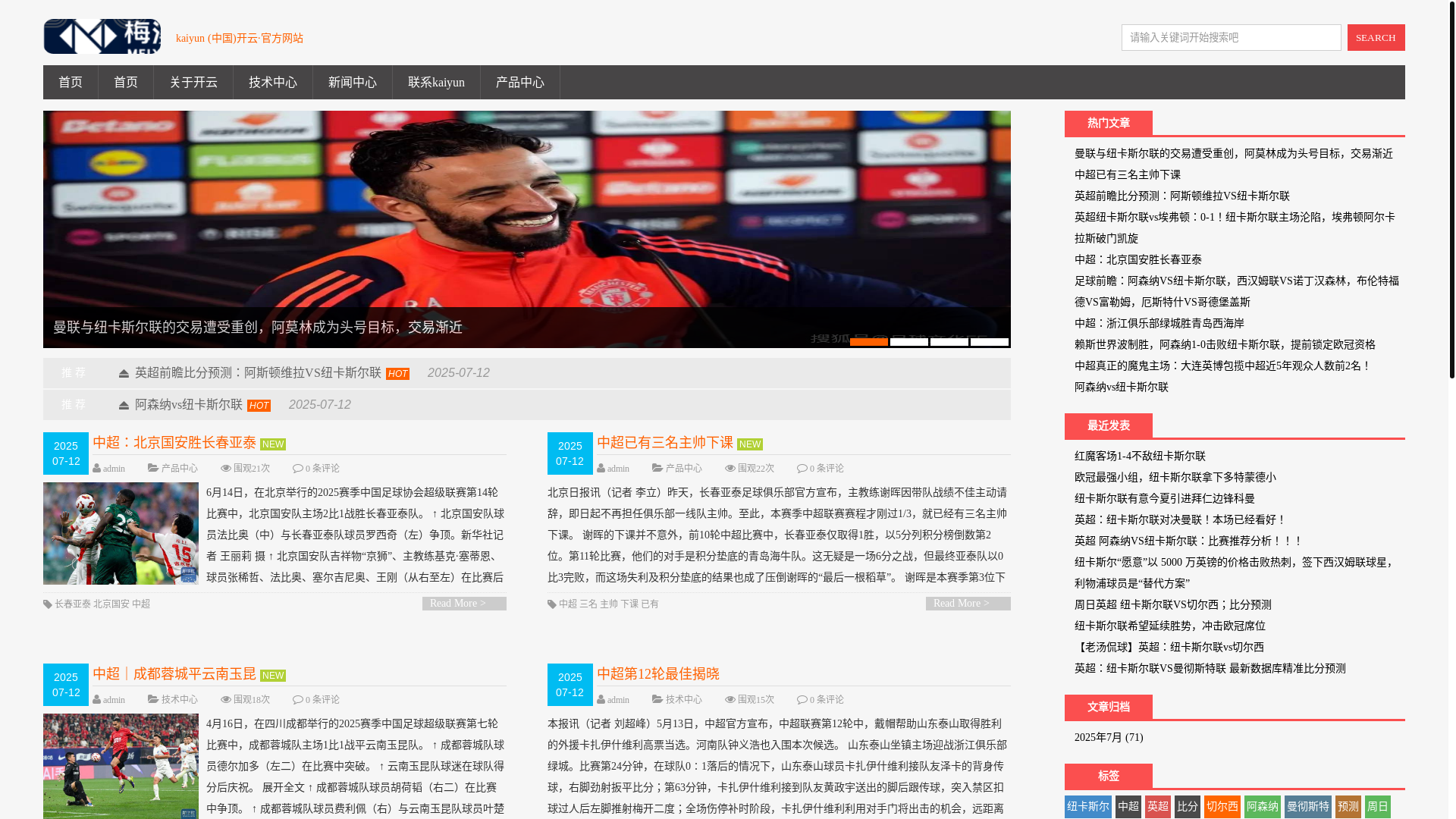 website screenshot of https://ing-cn-kaiyun.com/
